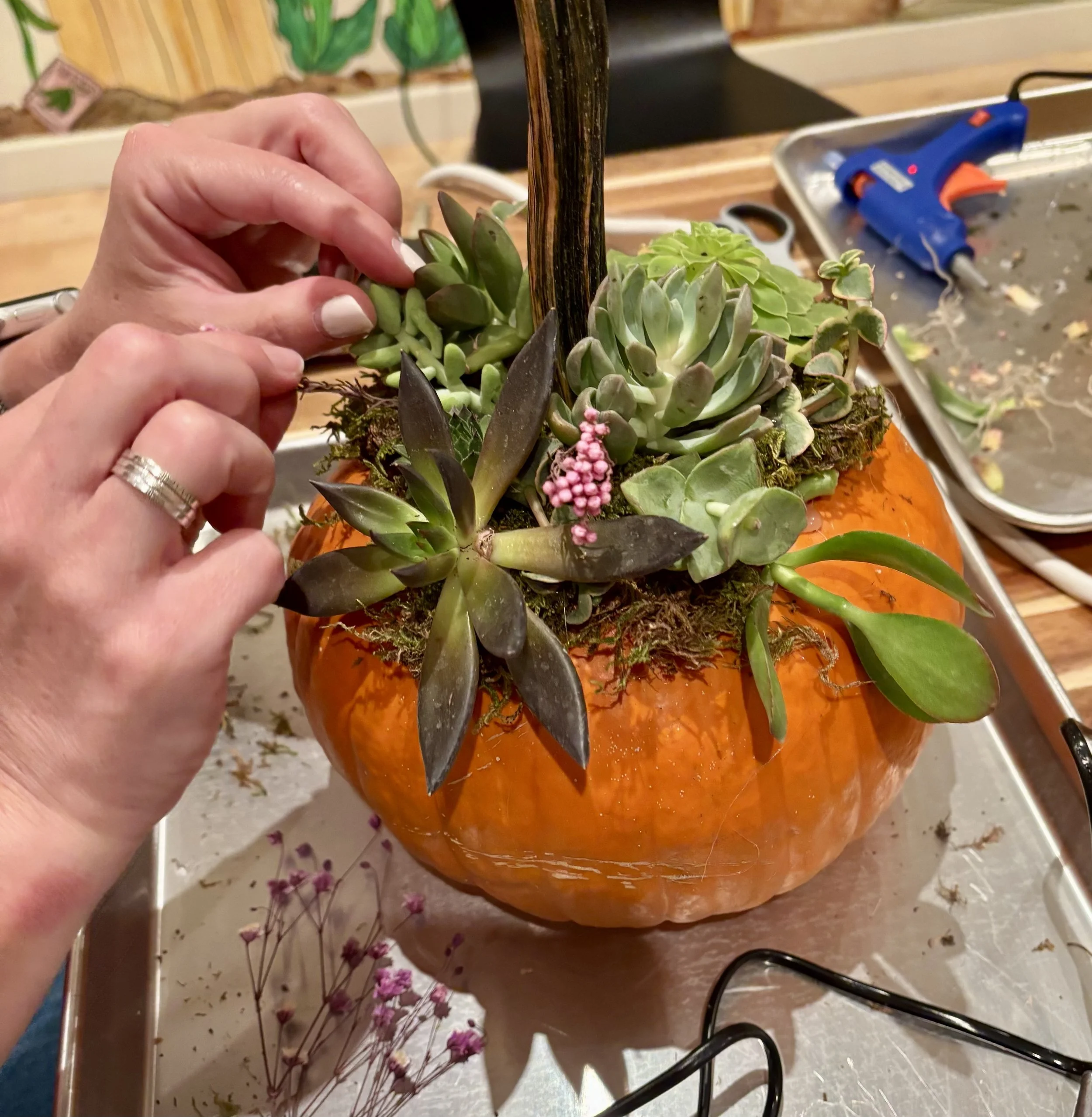 pumpkin 2.jpg