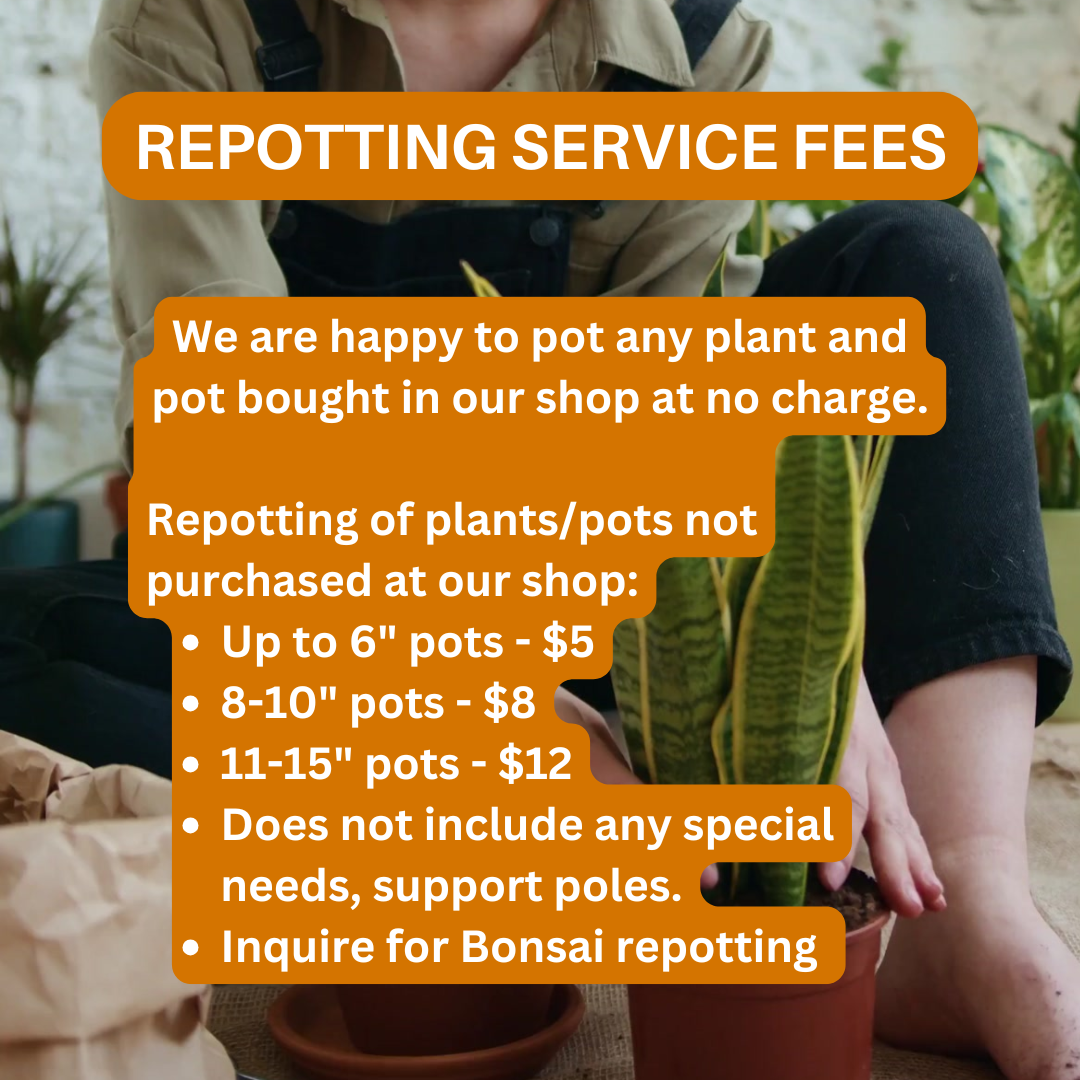 Sign advertising reporting service fees for reporting plants or pots not purchased from the shop, with prices for various pot sizes, and a note about special needs and support poles, also mentioning inquiry for Bonsai reporting.