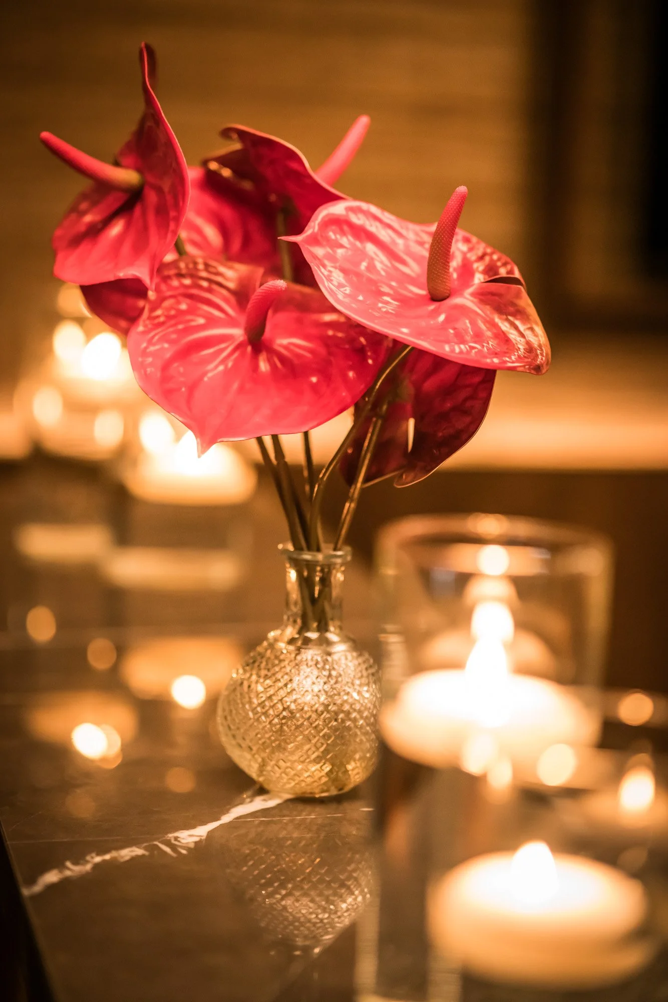 2025-12-04 T2 Xmas Party 2025 low res-00017.jpg