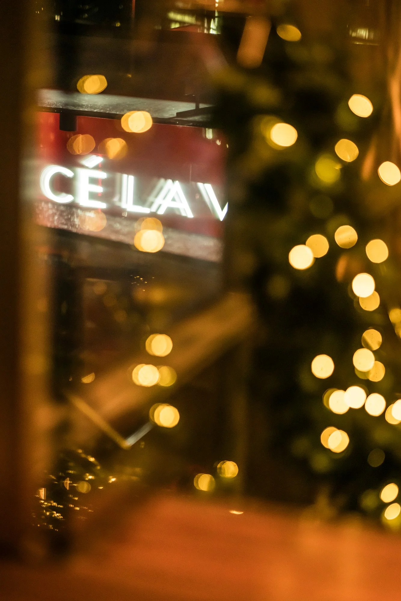 2025-12-04 T2 Xmas Party 2025 low res-00016.jpg