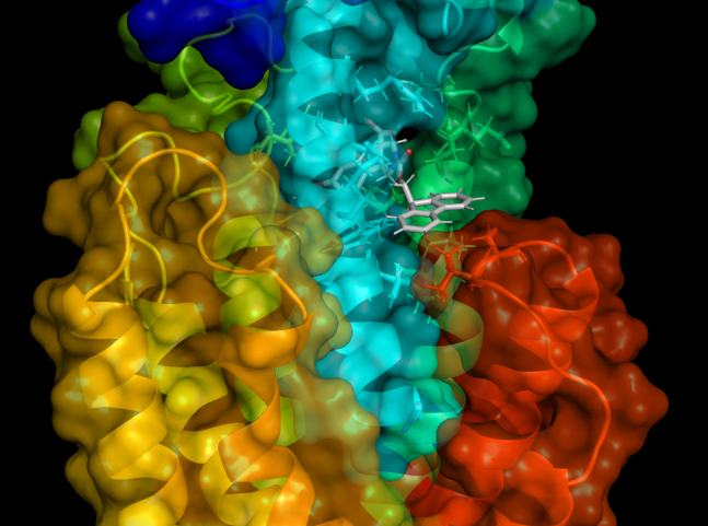 Allosteric modulation of parathyroid hormone receptor (PTHR) for regulating calcium signaling and endocrine homeostasis  (Sutkeviciute et al Nature Chem Biol, 2022); NIH-funded collaboration between the Bahar (Laufer Center) and Vilardaga (U of Pitts