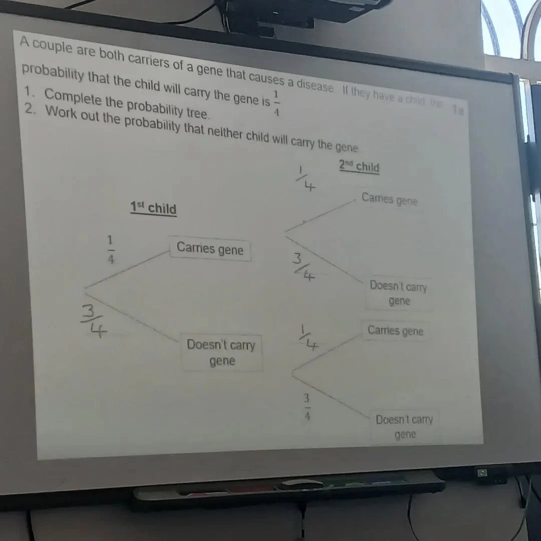 At Shinsei, we teach real lessons. This isn't a place where pupils can coast through. Through the skill of the teachers, we make the lessons accessible for all students whilst still being aspirational. 

Today, pupils looked at probability trees and 