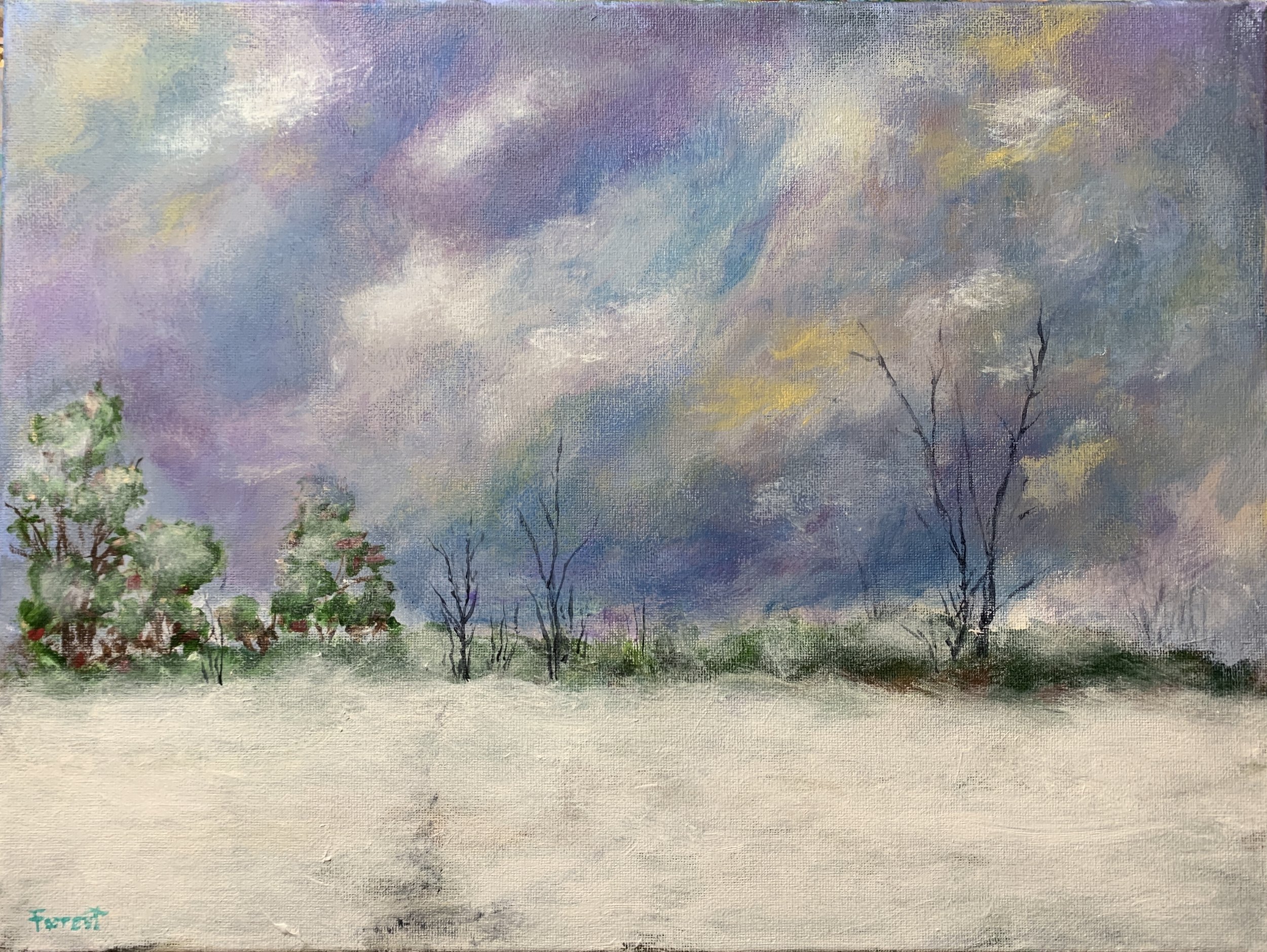 January Afternoon Light Show