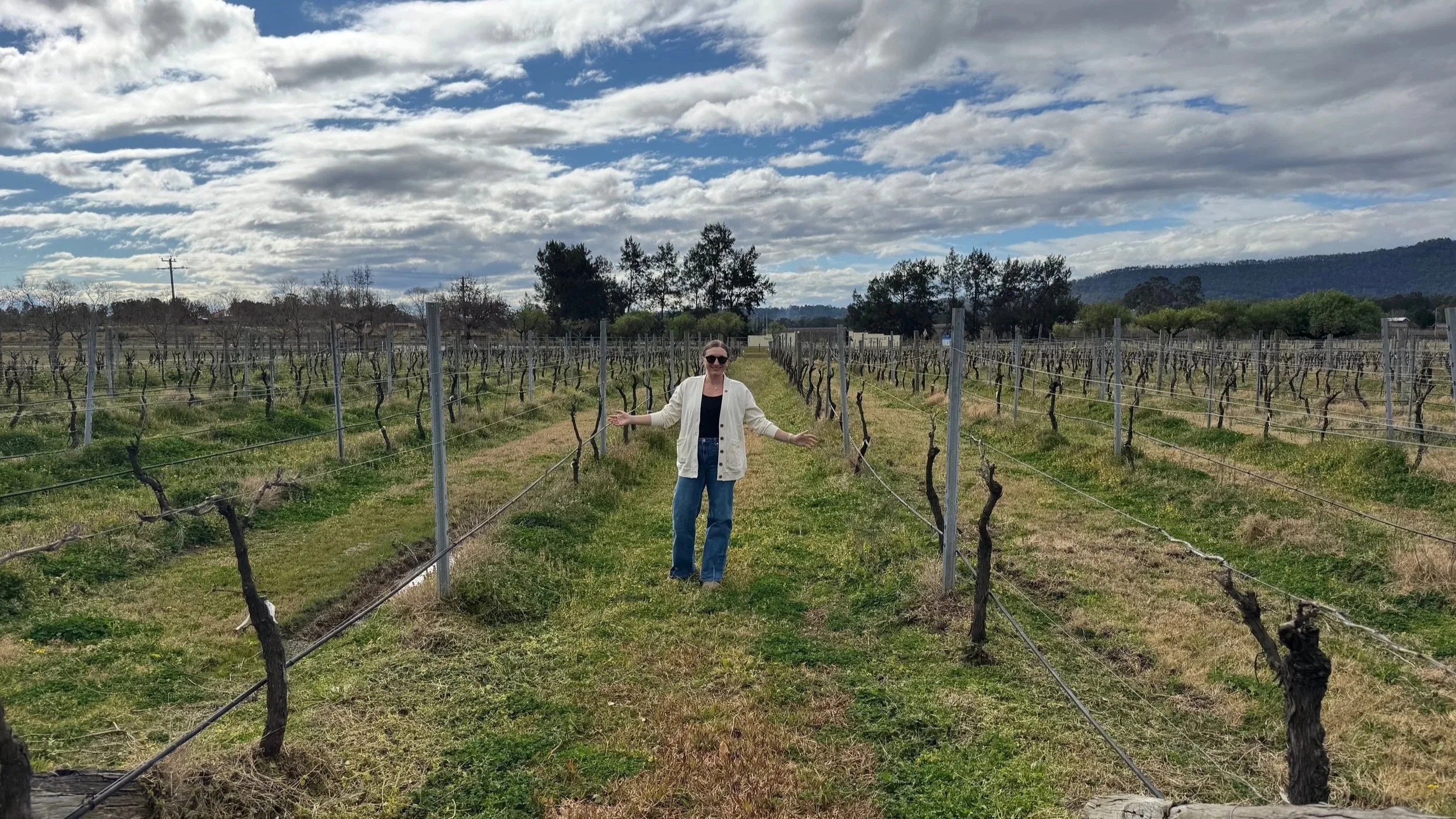 Pro tips for wine travel