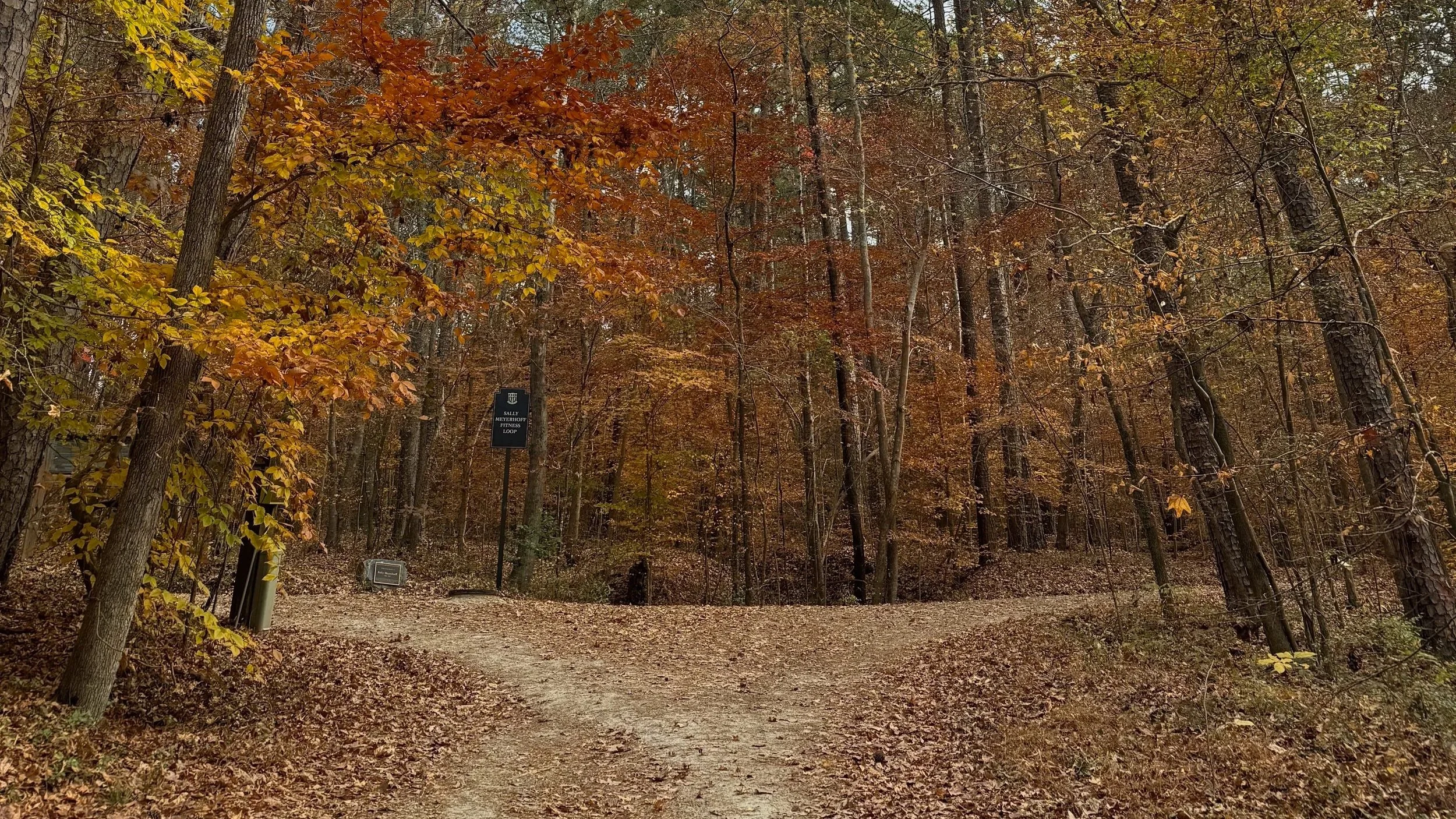 How to train to survive a half marathon