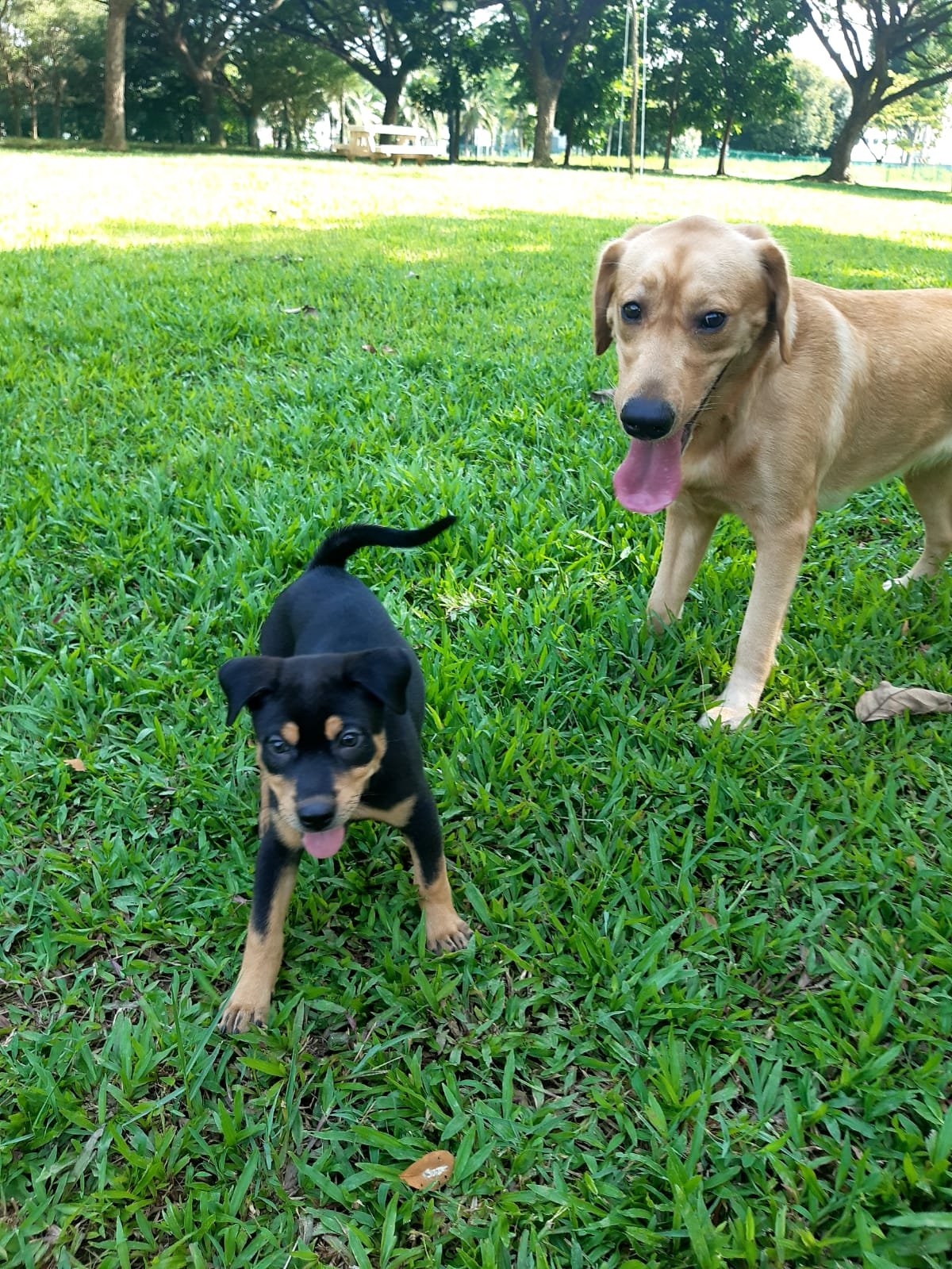 WhatsApp Image 2024-02-21 at 23.04.26_d97b8264.jpg