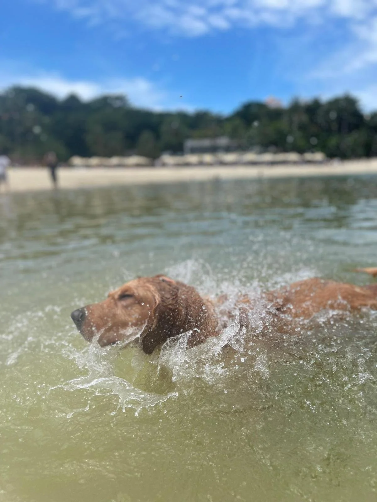 WhatsApp Image 2024-02-21 at 23.06.48_6d808ce5.jpg