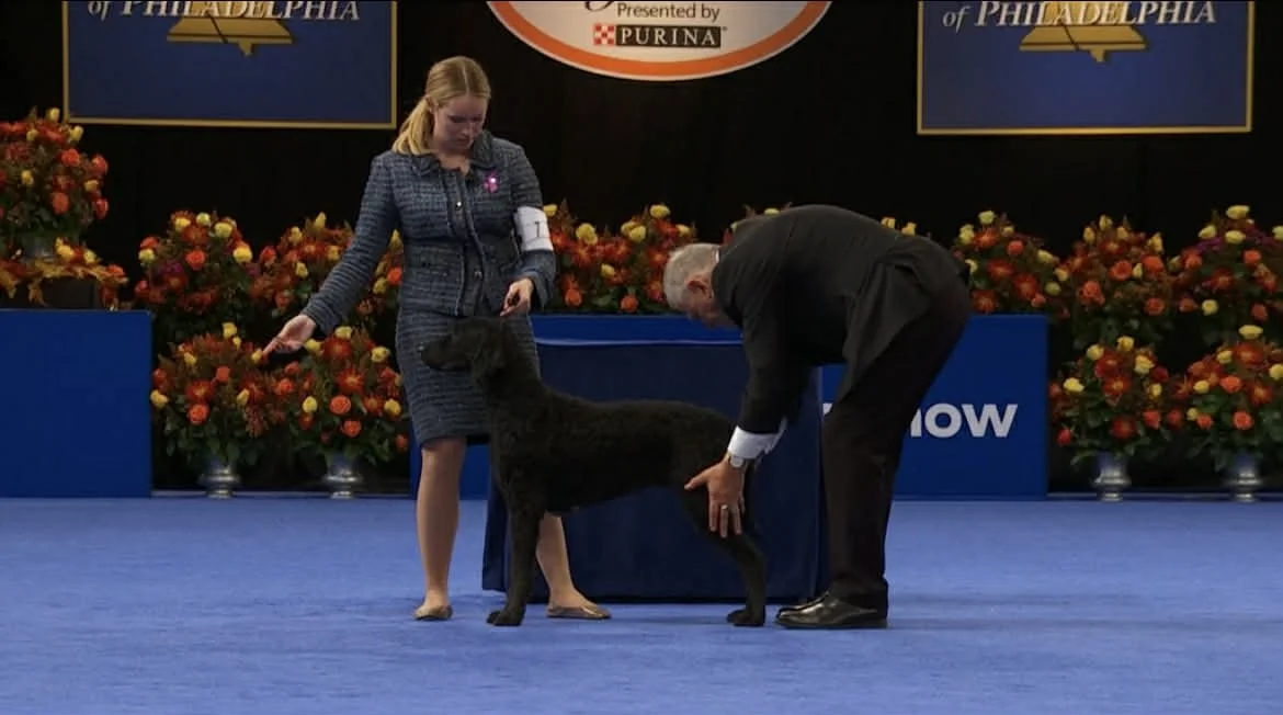 4001004d-ee50-4bdf-8d29-5a306e4c6986.jfif