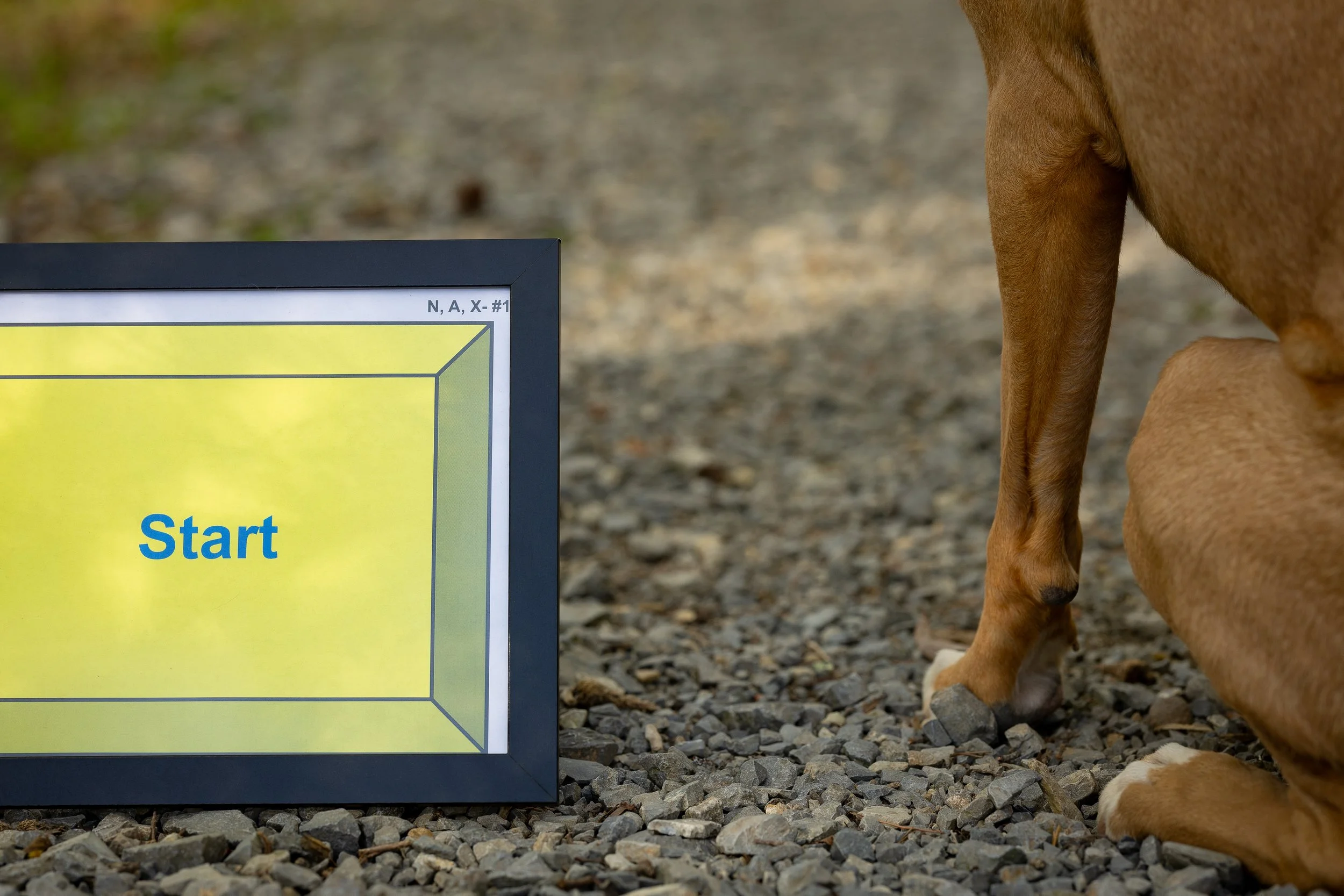 Intro to Sports | Thursdays 7:30pm | March 26th