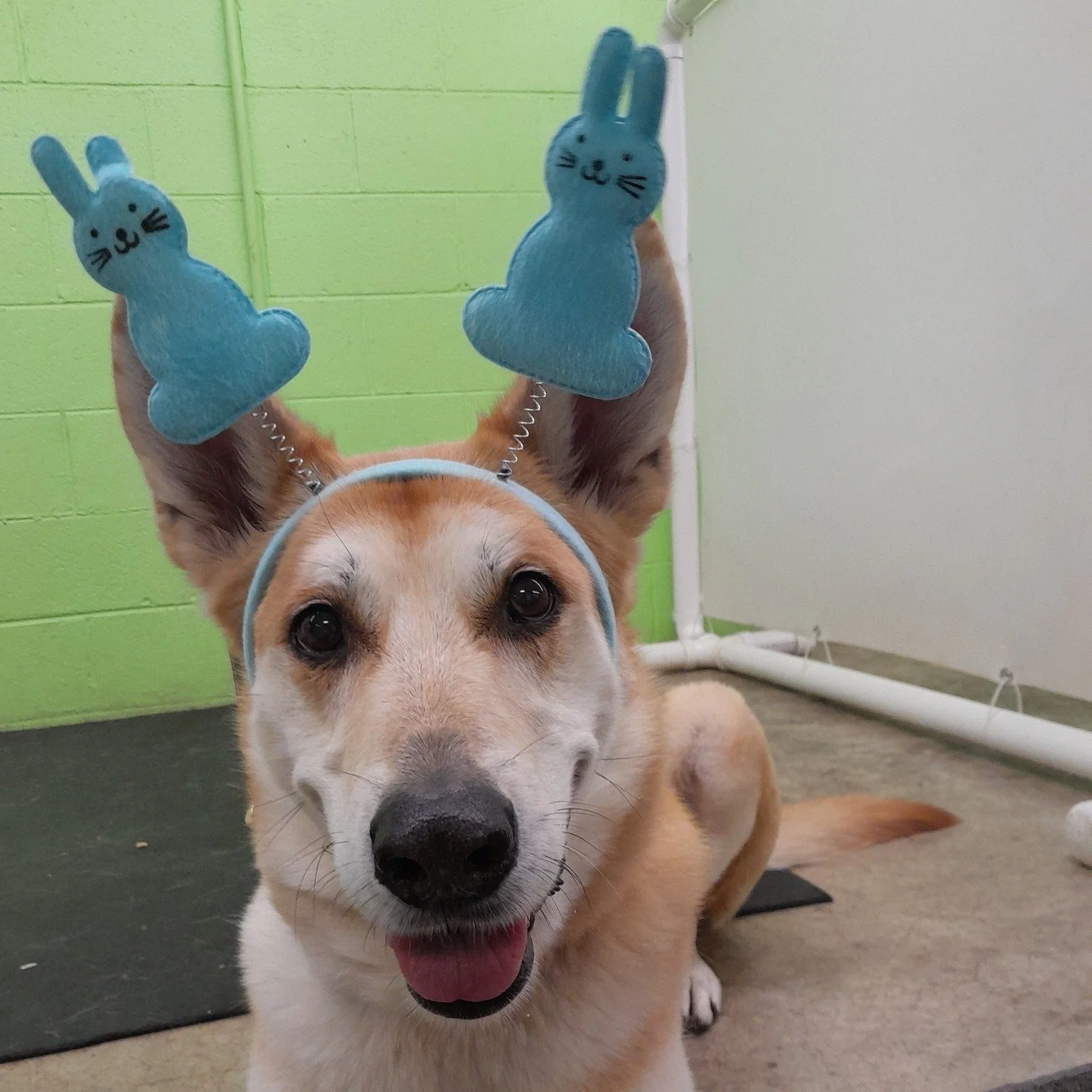 sam-2.jpg