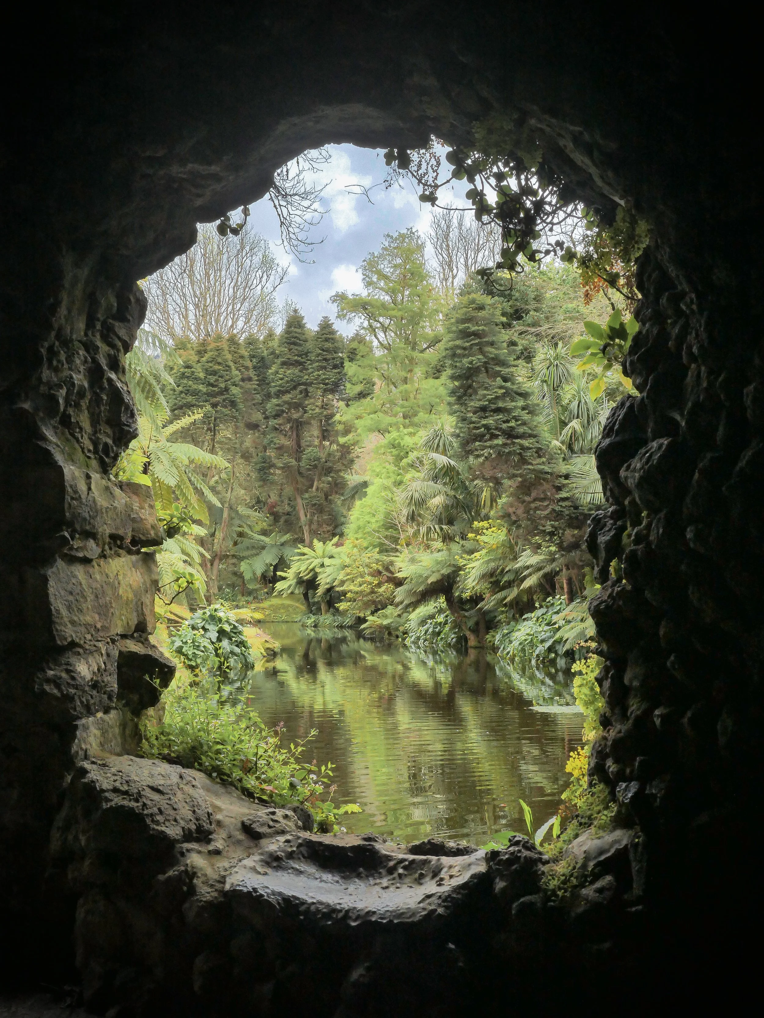 Vue d'une forêt luxuriante vue depuis une ouverture rocheuse, avec un ruisseau calme au centre, entouré d'arbres verts et touffus.