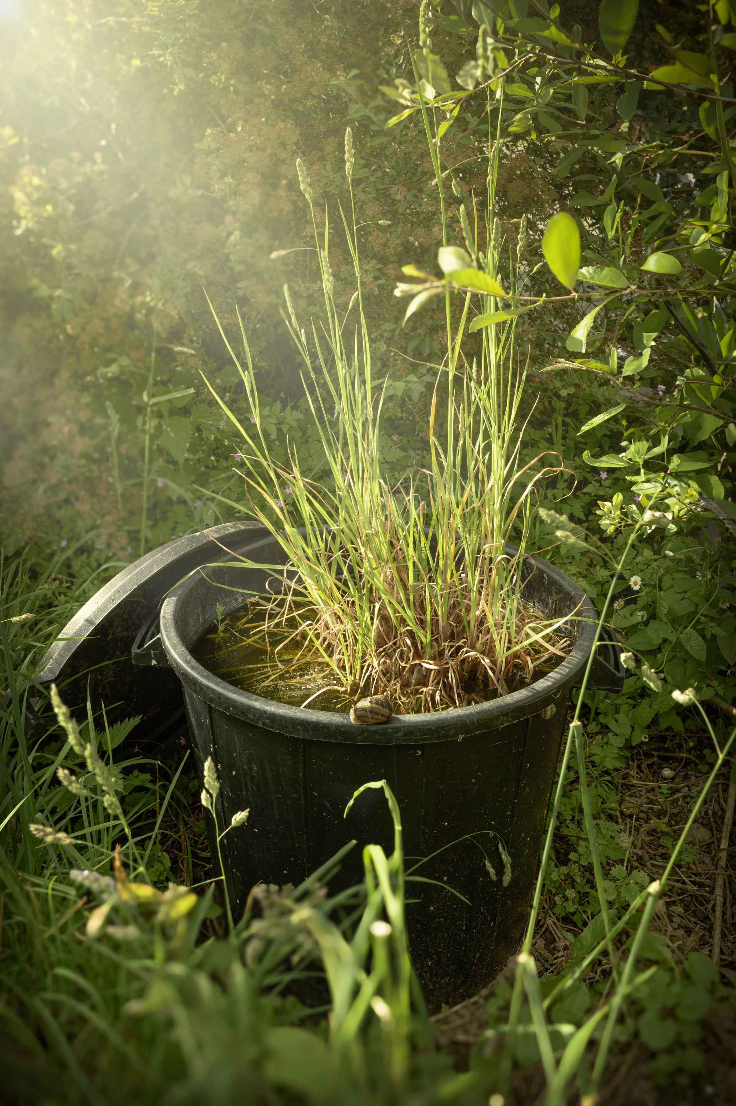 Retour à la nature II