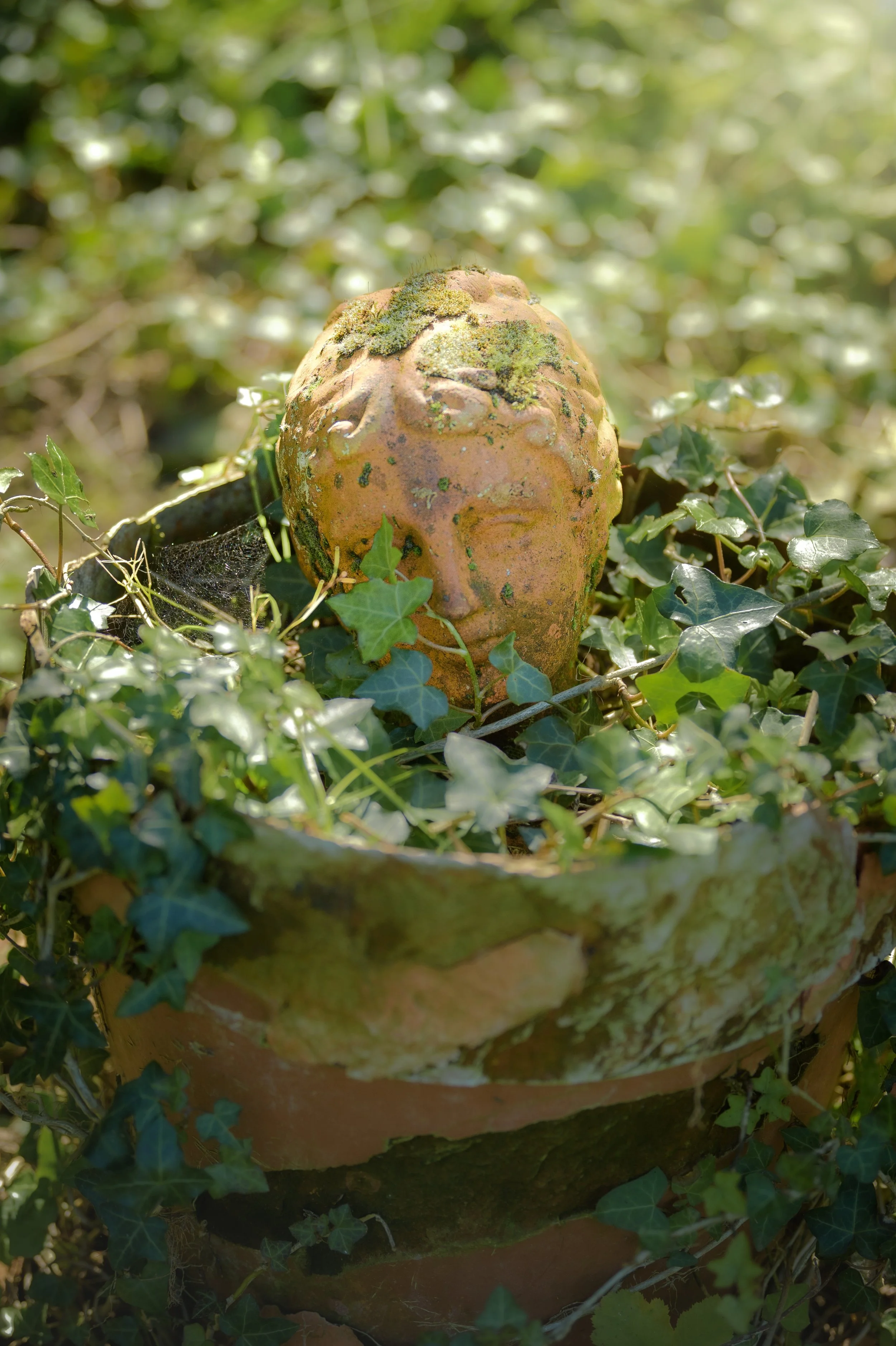 Retour à la nature III