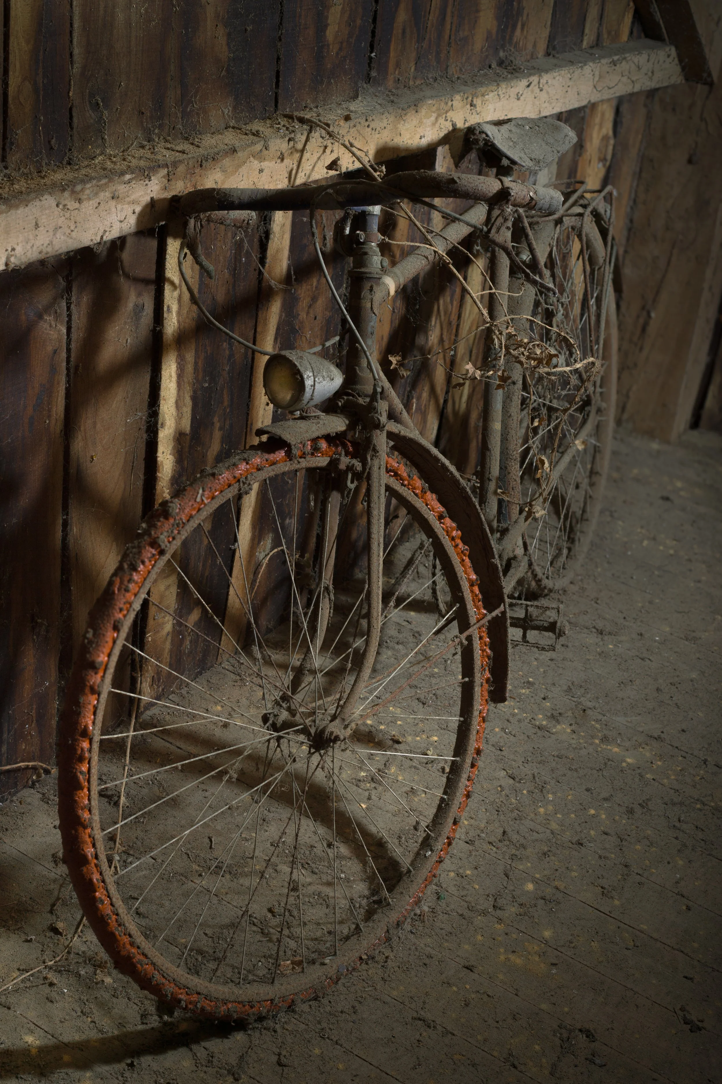 Retour à la nature I