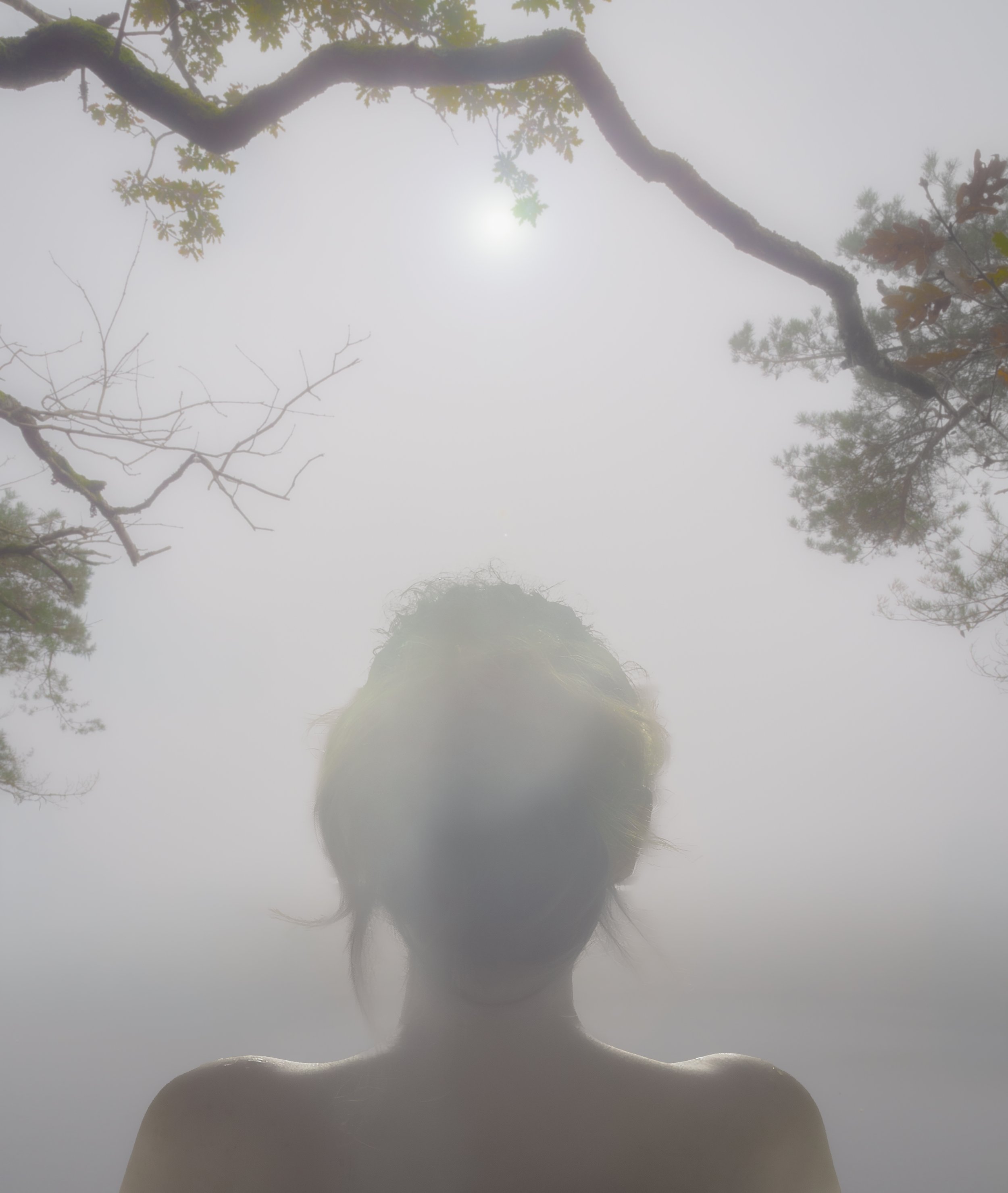 Une personne avec des cheveux coiffés en hauteur, vue de face, dans un environnement brumeux avec des branches d'arbres au-dessus.