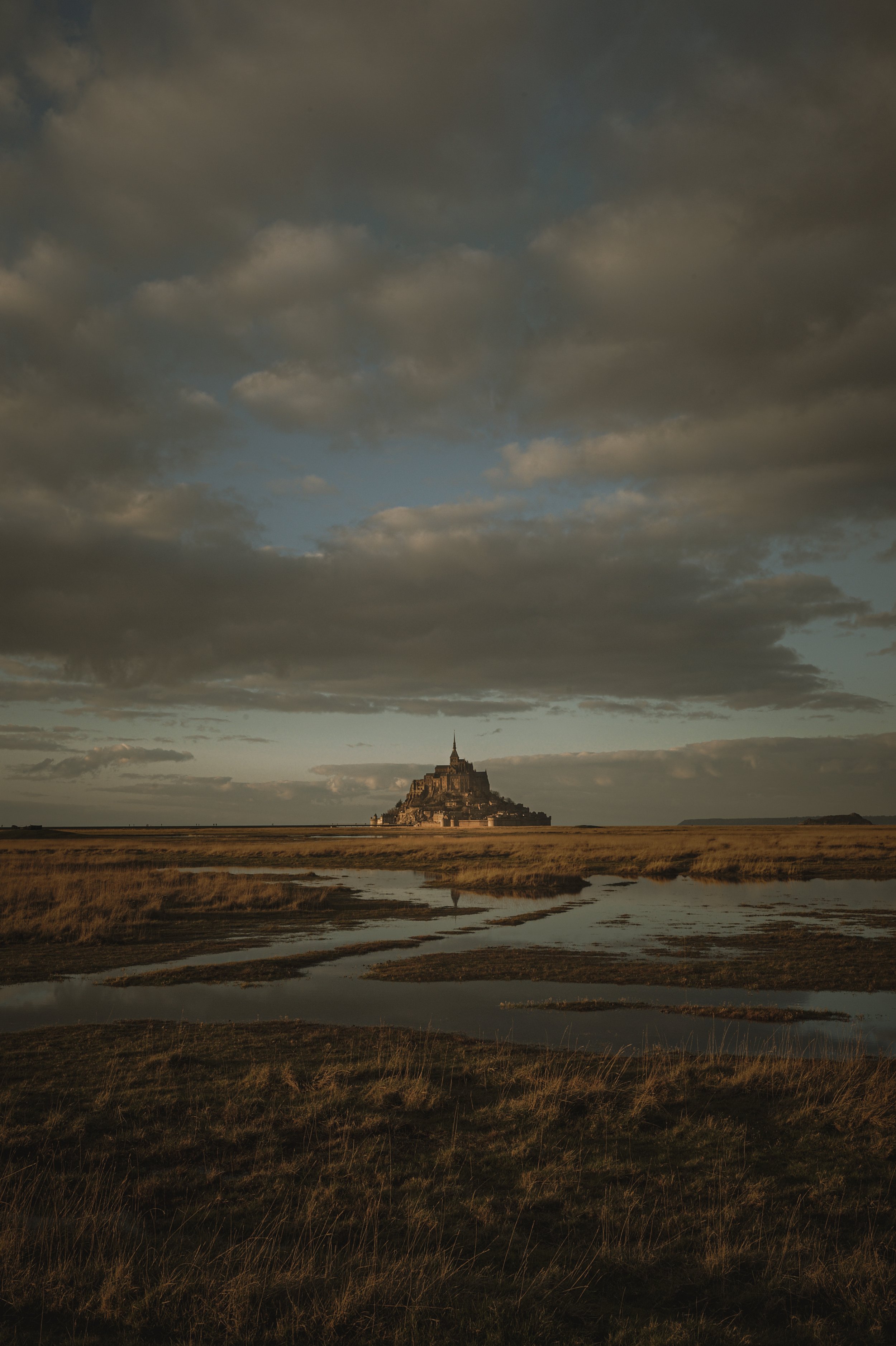 Vue de Mont Saint-Michel depuis un marais sous un ciel nuageux avec des reflets dans l'eau.