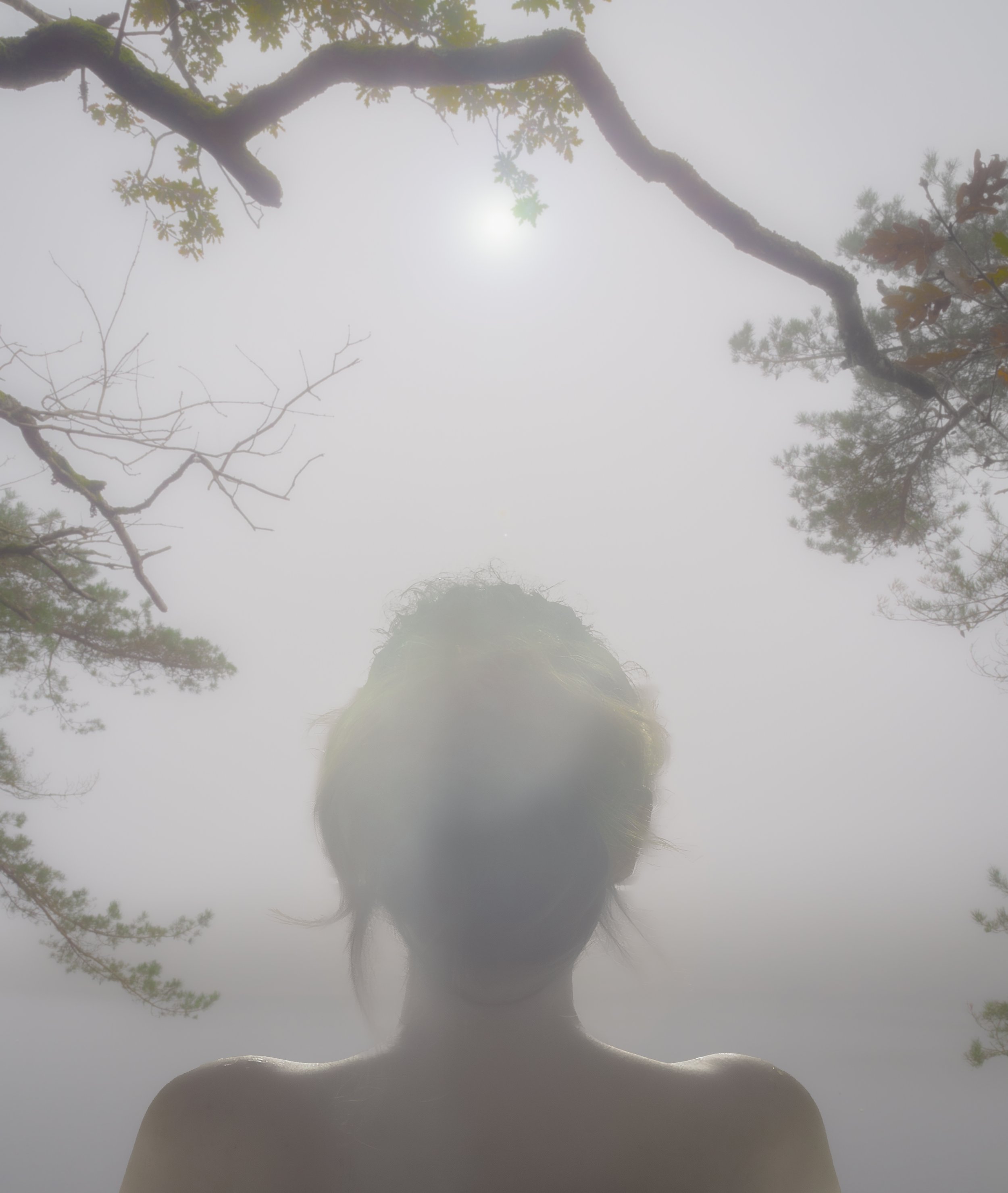 brouillard.jpg