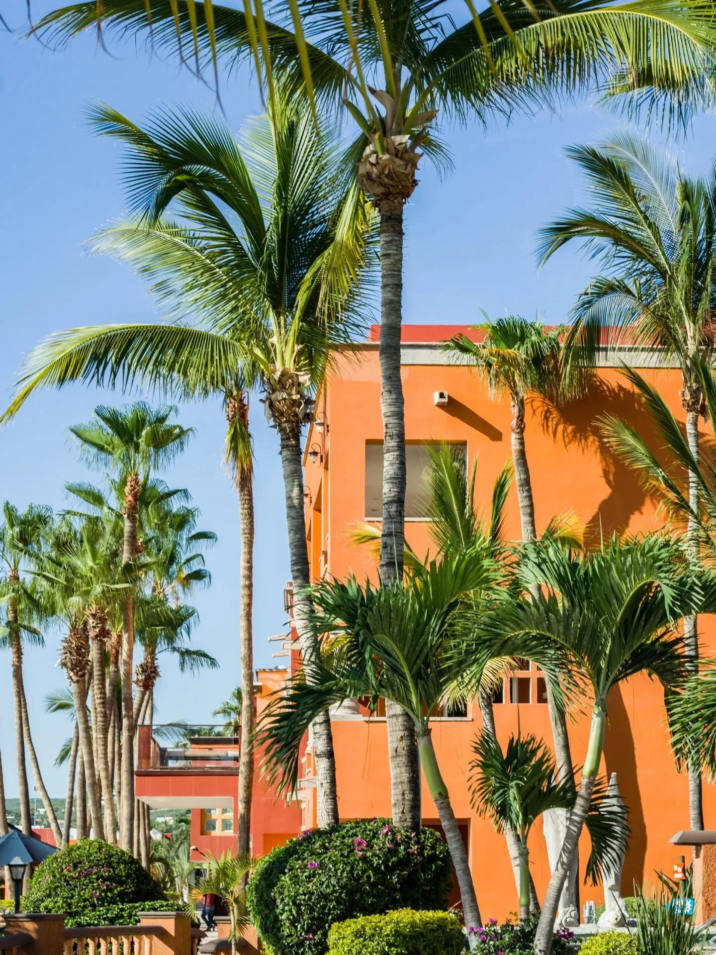 Relajarse en este lugar es tu respuesta!🌊☀️ 

Relaxing in this place is your answer!🌊☀️

🖥BOOK NOW: https://vanwormerresorts.com/ 
📞Reservations:  877-777-8862/818-224-4744
📞Mexico: 624-141-0044