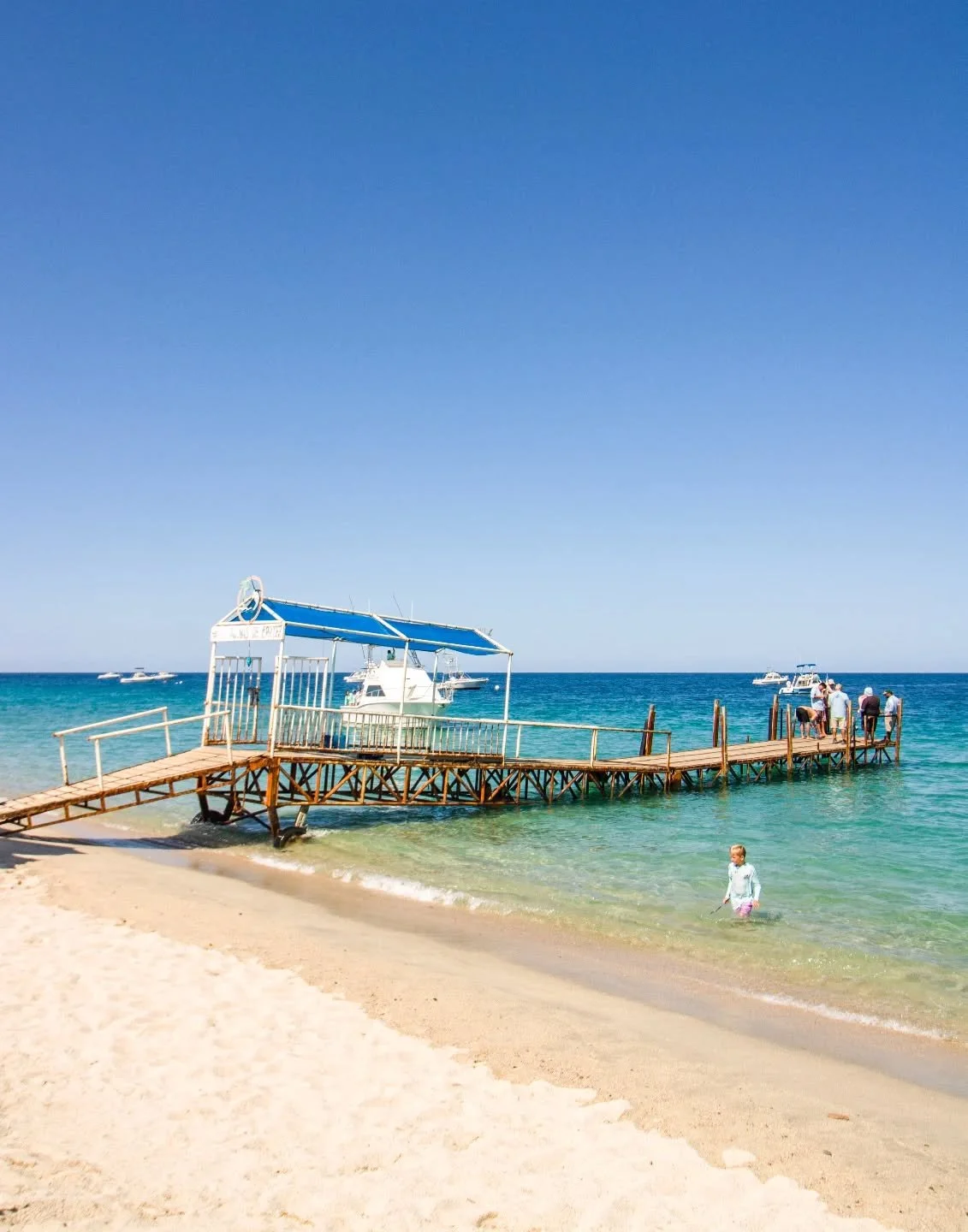 Bajo el sol de Los Barriles, cada día se siente como un escape. ☀️🌊
Under the Los Barriles sun, every day feels like an escape. ☀️🌊
📞 USA: 877-777-8862 / 818-224-4744
📞 México: 624-141-0044
🌐 BOOK NOW: www.vanwormerresorts.com