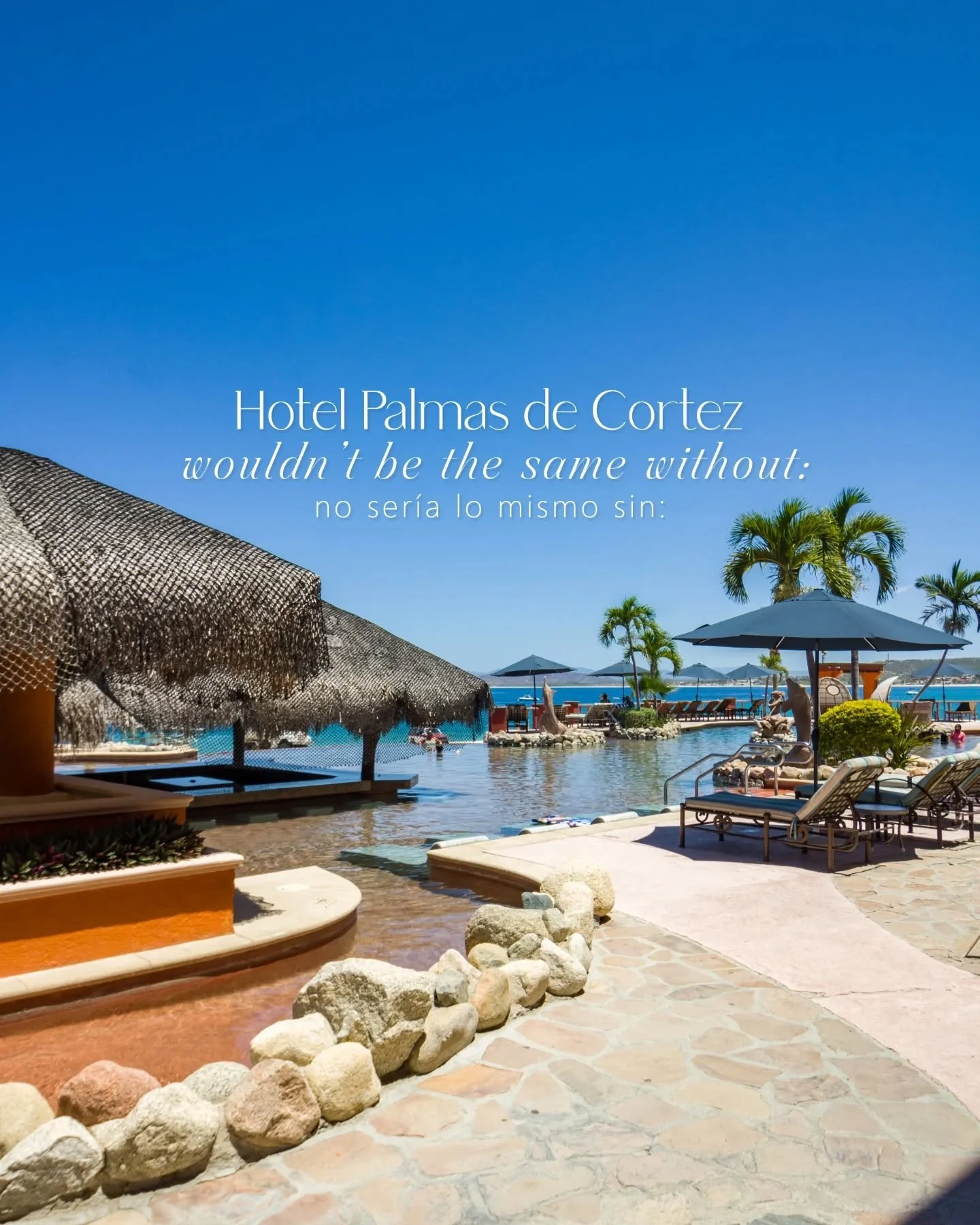 🌊👉Hotel Palmas de Cortez wouldn’t be the same without:
🌊👉Hotel Palmas de Cortez no sería lo mismo sin:
📞 USA: 877-777-8862 / 818-224-4744
📞 México: 624-141-0044
🌐 BOOK NOW: www.vanwormerresorts.com