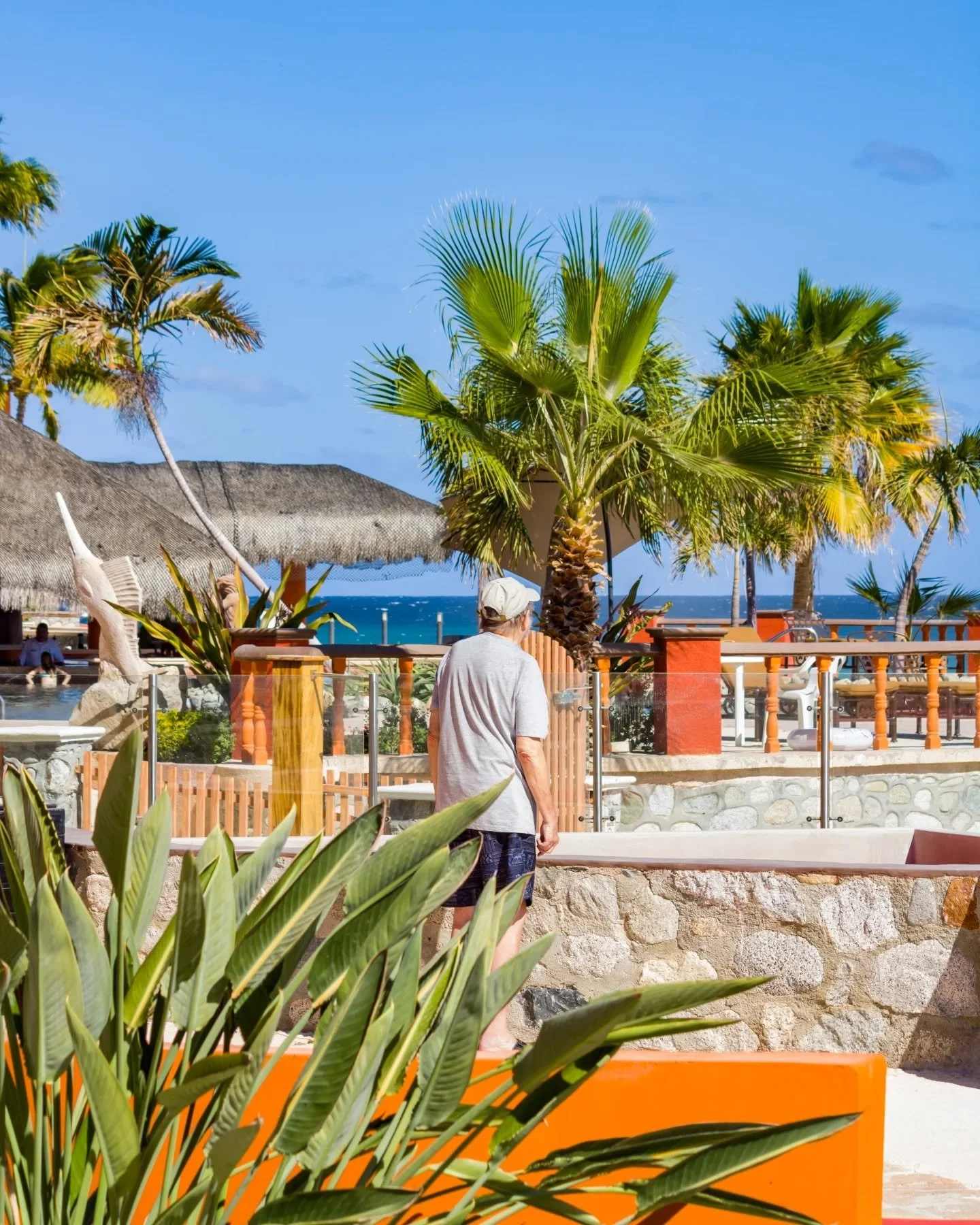 Everyone is amazed by the beauty of Palmas de Cortez ✨🌴
From the views to the atmosphere, it&rsquo;s a place that stays with you.

Todos quedan maravillados con la belleza de Palmas de Cortez 🌊✨
Desde sus vistas hasta su ambiente, es un lugar que s