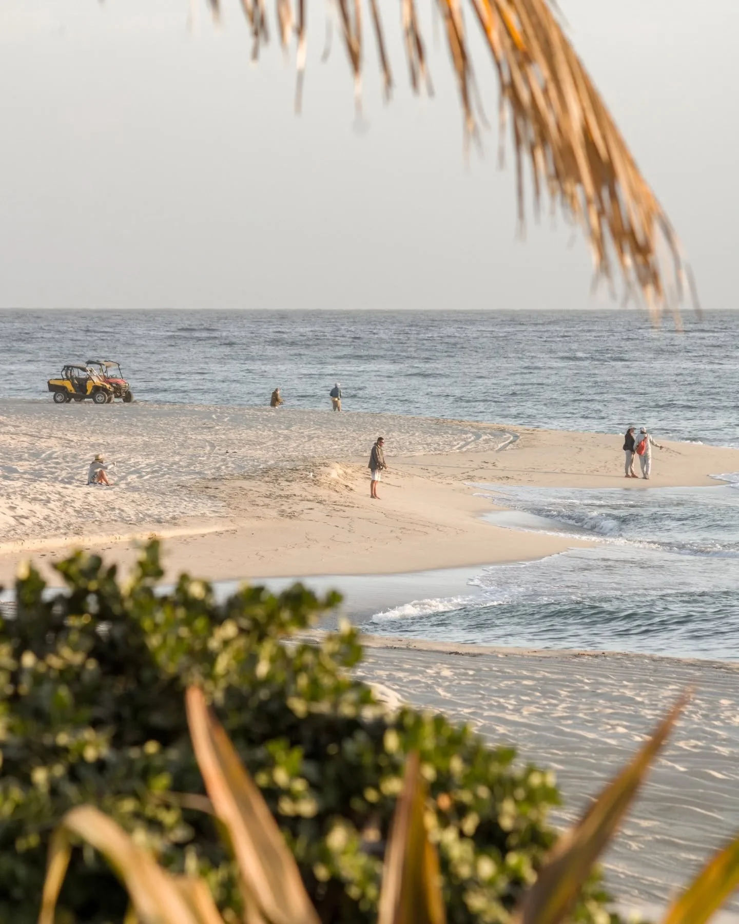 Ocean breeze, palm trees, and calm mornings 🌴🌊

Brisa, palmeras y ma&ntilde;anas tranquilas 🌅🌴

📞 USA: 877-777-8862 / 818-224-4744
📞 M&eacute;xico: 624-141-0044
🌐 BOOK NOW: www.vanwormerresorts.com