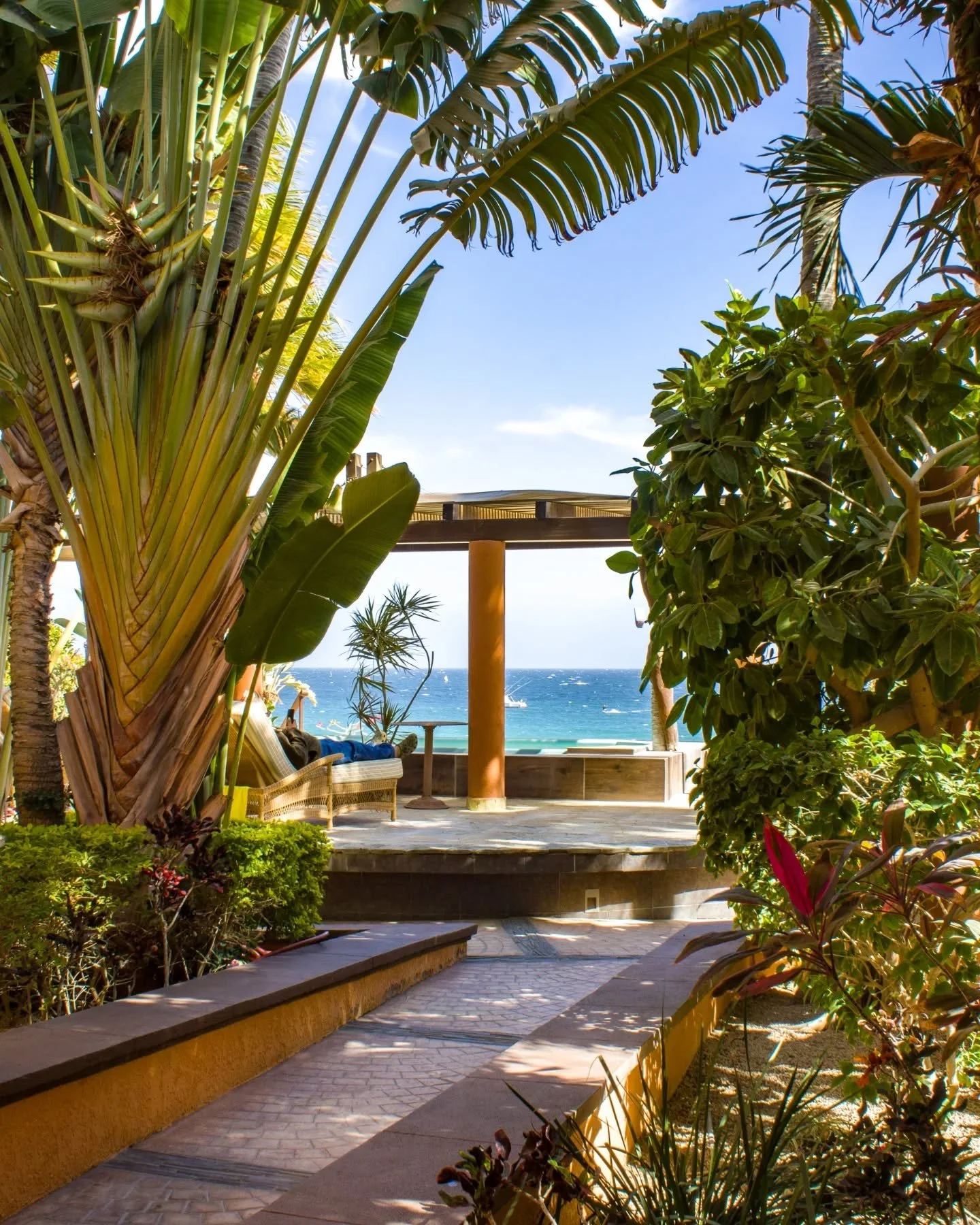Peace and tranquility in our Garden Rooms. 🌿✨ Discover those hidden corners that make you want to stay forever. 🌴

Tranquilidad total en nuestros Garden Rooms. 🌿✨ Descubre esos rincones que hacen que te quieras quedar aqu&iacute; para siempre. 🌴
