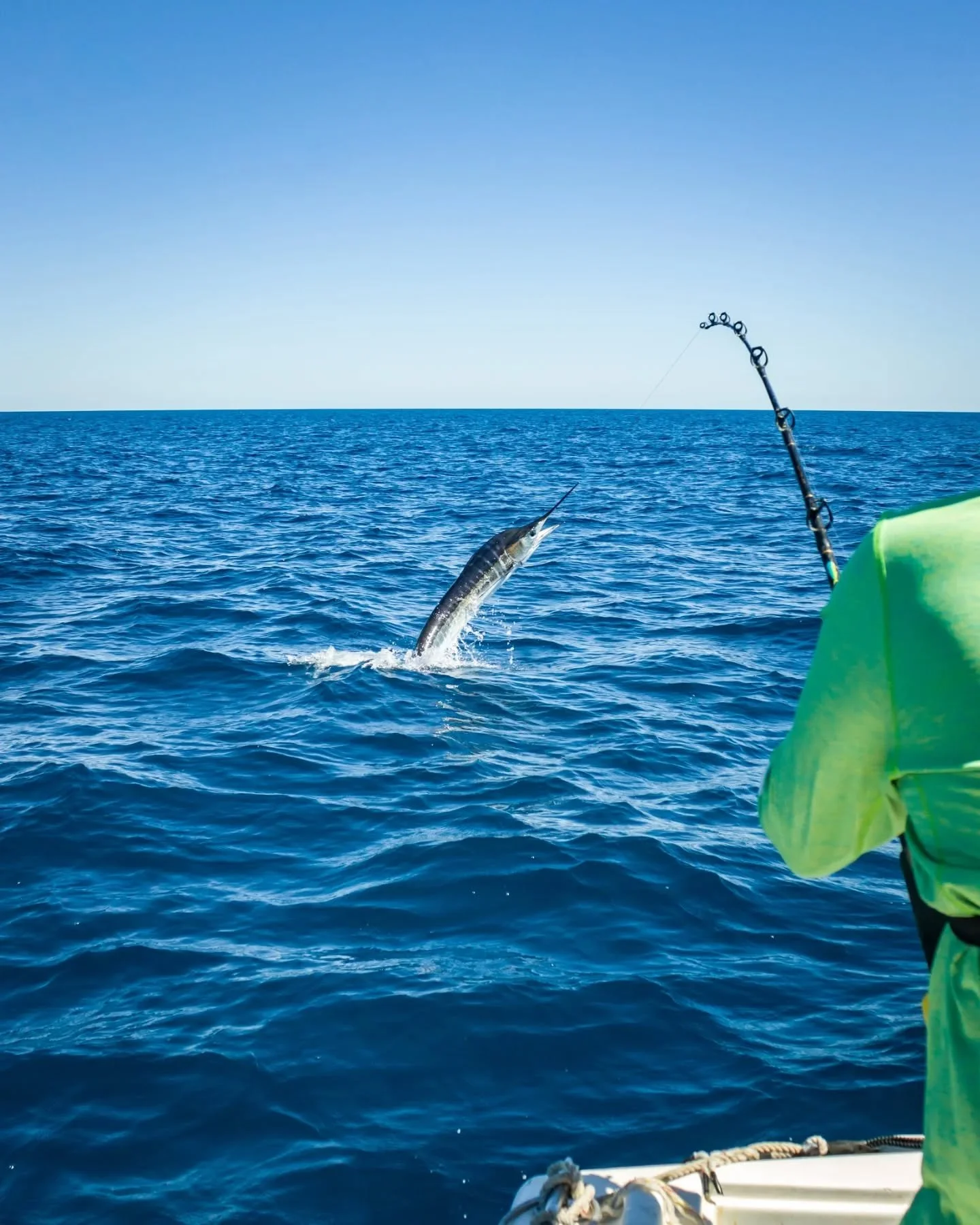 Fish, relax, repeat. 🎣🌴 The ultimate fishing escape at Hotel Palmas de Cortez. 🌊✨

Pesca, rel&aacute;jate, repite. 🎣🌴 La mejor escapada de pesca en Hotel Palmas de Cortez. 🌊✨

📞 USA: 877-777-8862 / 818-224-4744
📞 Mexico: 624-141-0044 / 624-14