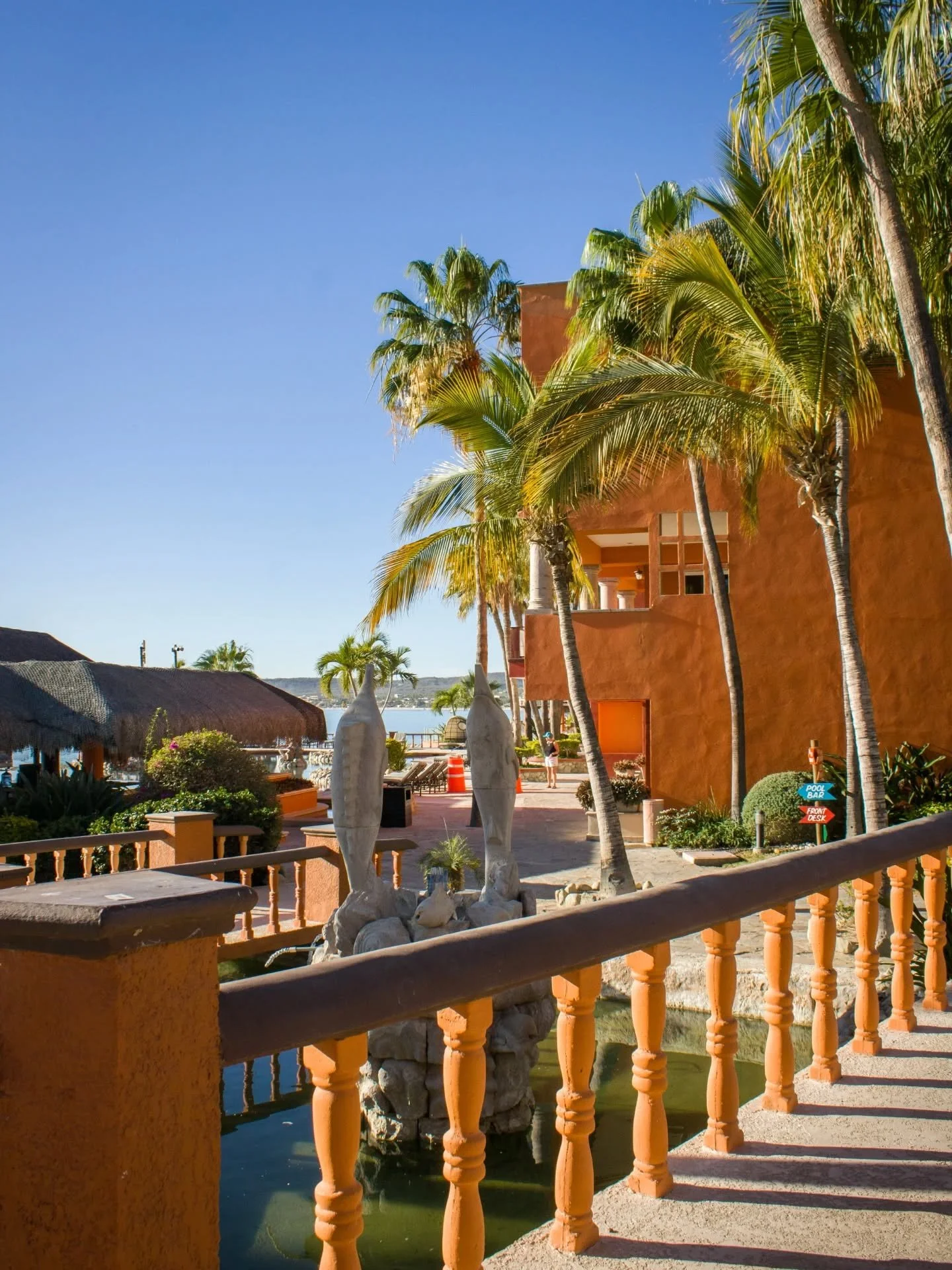 Your daily reminder that paradise is just a flight away. 🌴✨ Wake up to the golden light and the peace of our gardens. Total relaxation at Hotel Palmas de Cortez. 🌊🧘&zwj;♂️

Tu recordatorio diario de que el para&iacute;so est&aacute; a solo un vuel