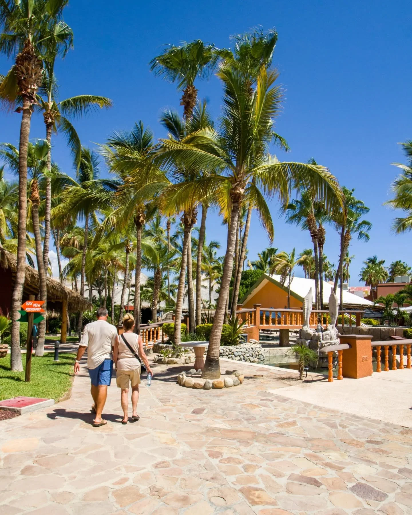 Vacation mood: ON. 🌴🕶️ Experience the colors and the peace of the East Cape with us. Welcome to Hotel Palmas de Cortez. 🌊🏠

 Modo vacaciones: ACTIVADO. 🌴🕶️ Vive los colores y la paz del Cabo Este con nosotros. Bienvenido a Hotel Palmas de Corte