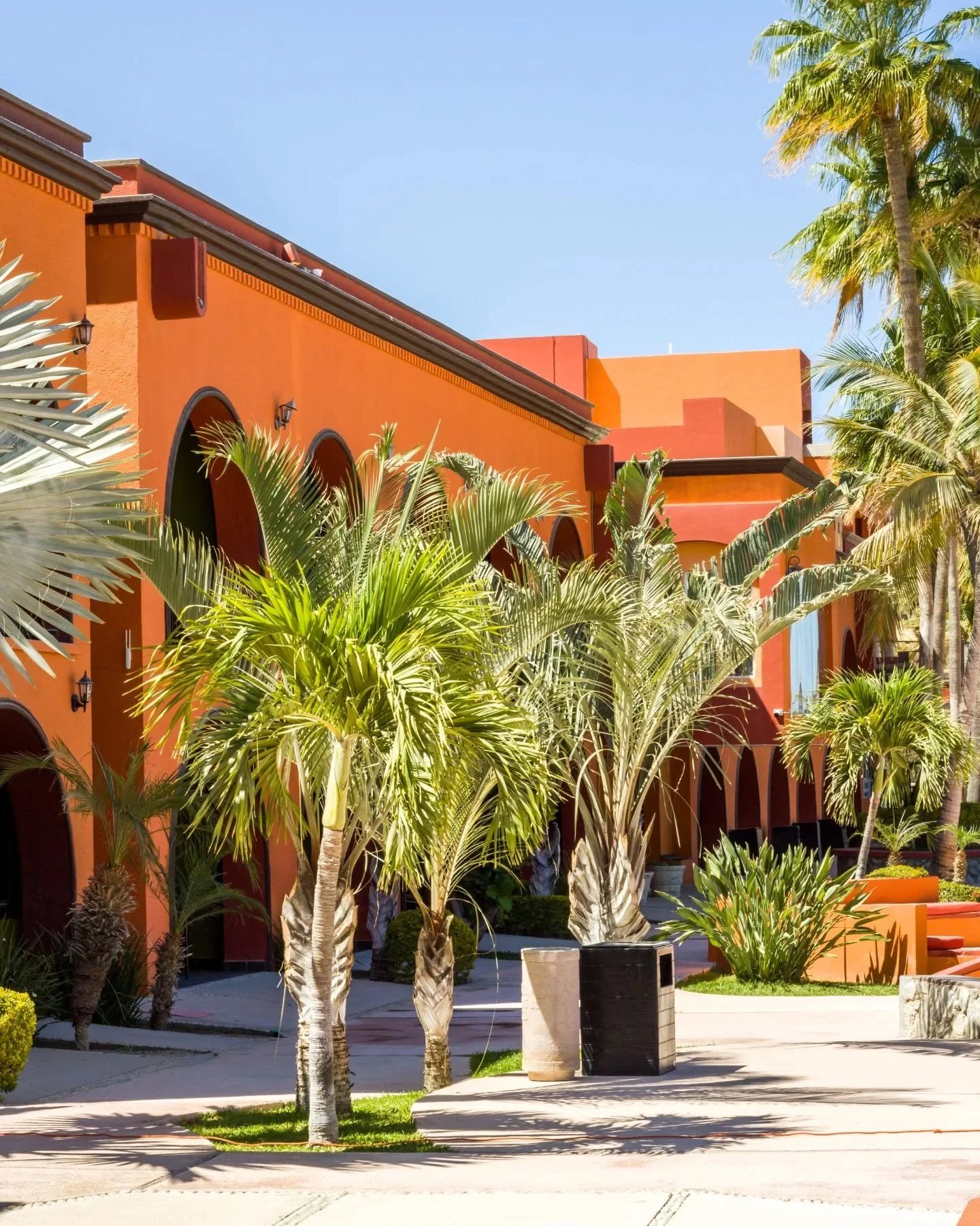 Cada rinc&oacute;n de nuestro hotel est&aacute; dise&ntilde;ado para regalarte las mejores vistas de Los Barriles. 🌴✨ Camina entre palmeras, rel&aacute;jate junto a la alberca y disfruta del para&iacute;so. &iexcl;Tu escape perfecto te espera aqu&ia