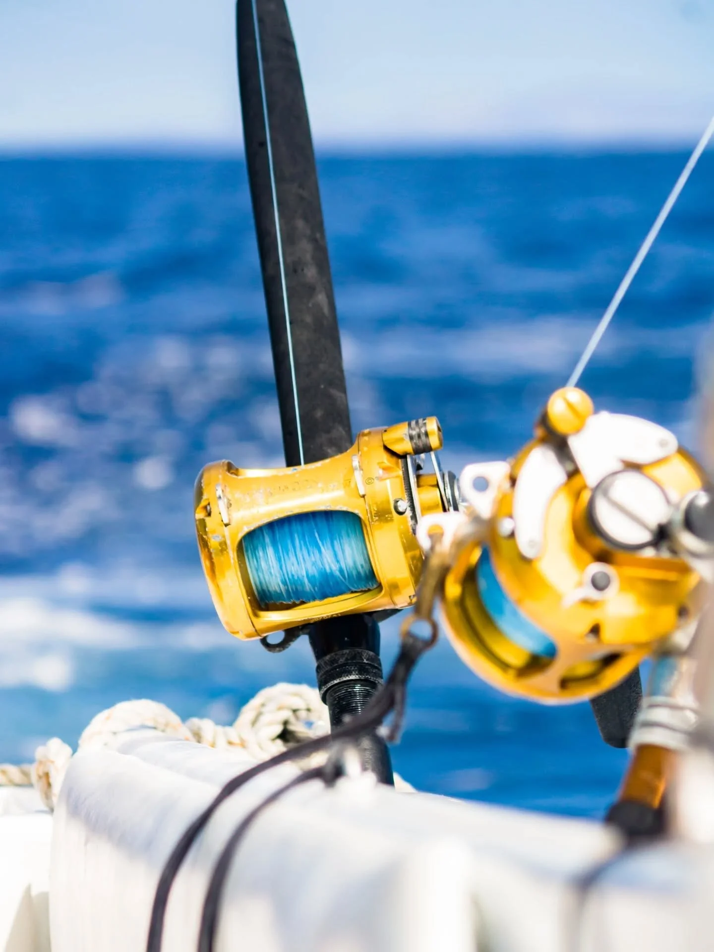 Ca&ntilde;as listas, cielo despejado y el mar abierto frente a nosotros. ☀️🎣 Disfrutamos de la combinaci&oacute;n perfecta para vivir la verdadera experiencia de Baja.

Rods ready, clear skies, and the open ocean ahead. ☀️🎣 We enjoyed the perfect c