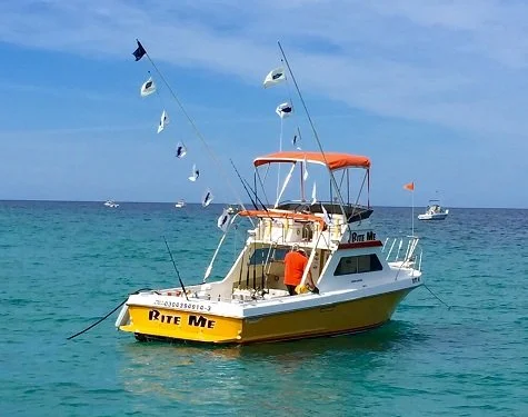 Van Wormer Resorts - bite-me.jpg