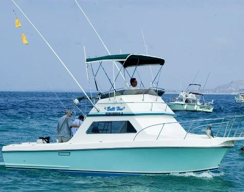 Van Wormer Resorts - ballihoo.jpg