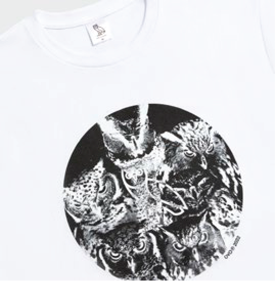 Branding and Illustration