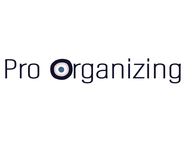 pro-organizer.png