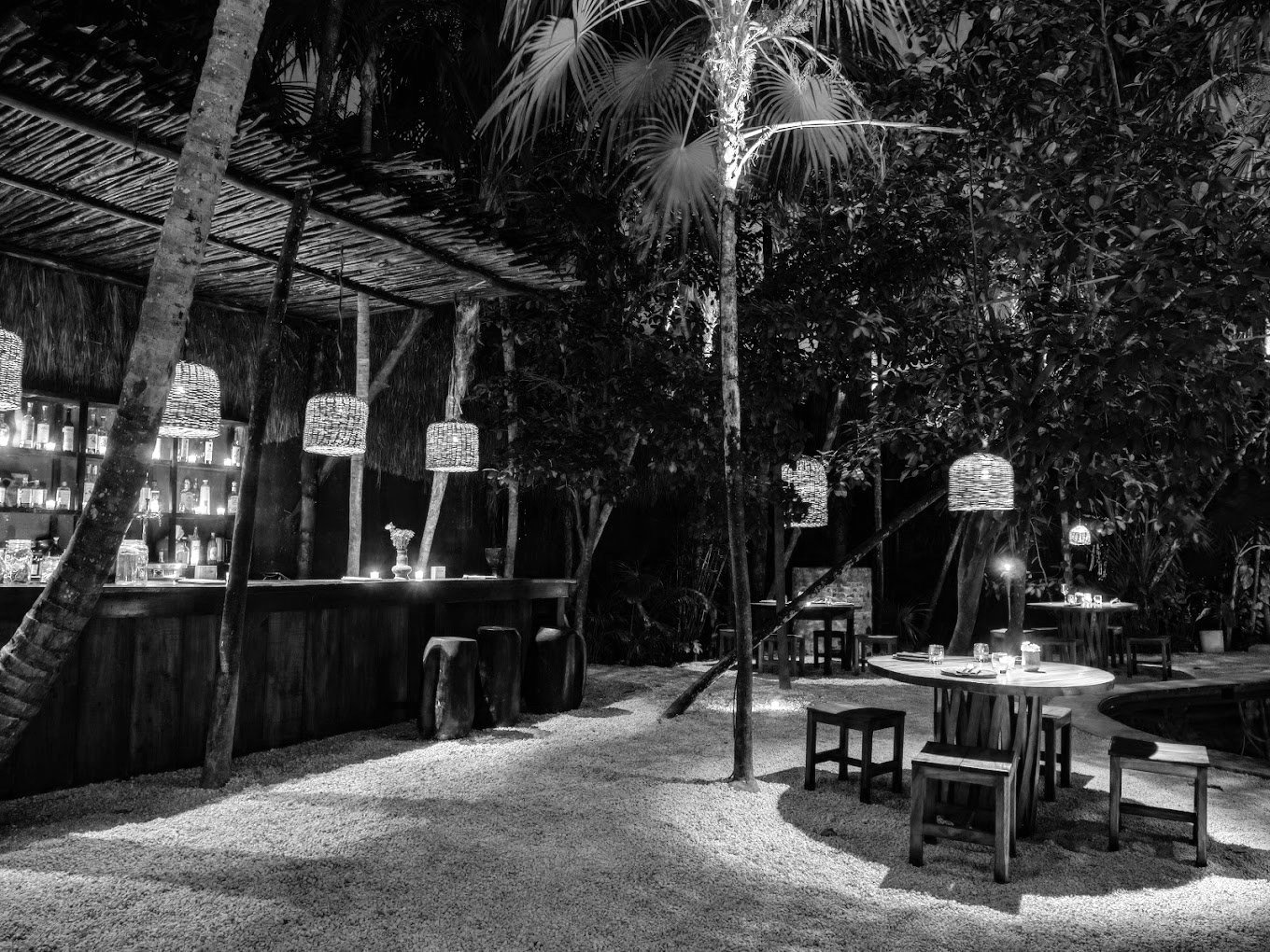 Exterior view of the Tulum Tree House hotel, nestled amidst lush greenery with a serene and natural ambiance.