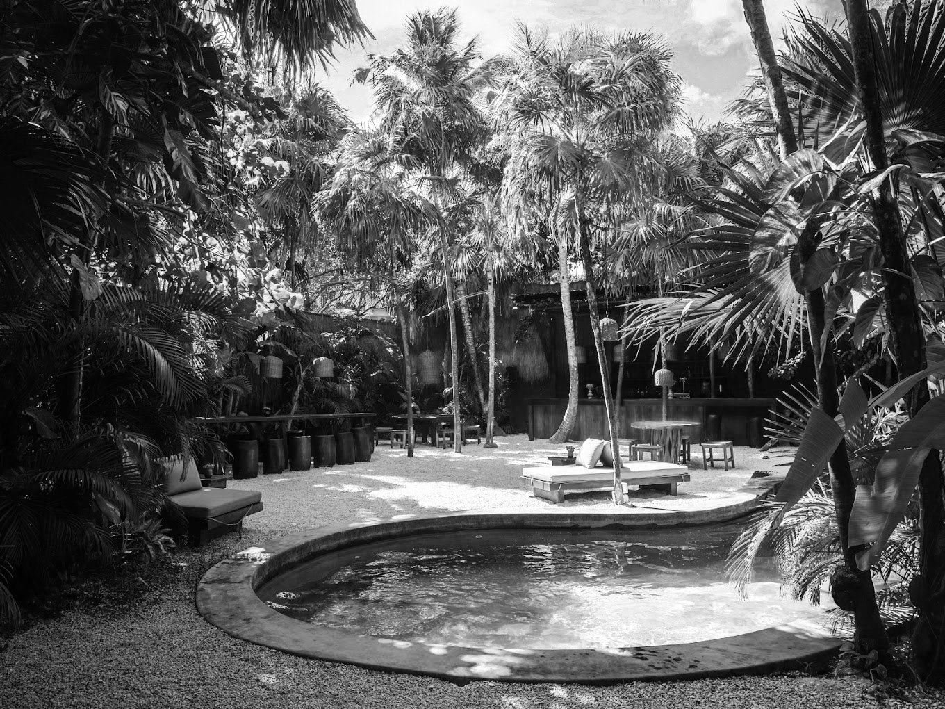 Exterior view of the Tulum Tree House hotel, nestled amidst lush greenery with a serene and natural ambiance.