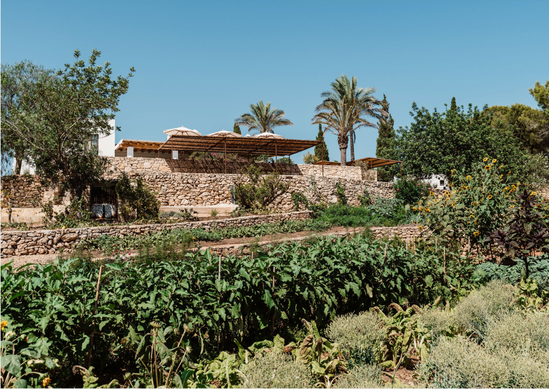 Aguamadera Ibiza - Agroturismo Hotel 06.png