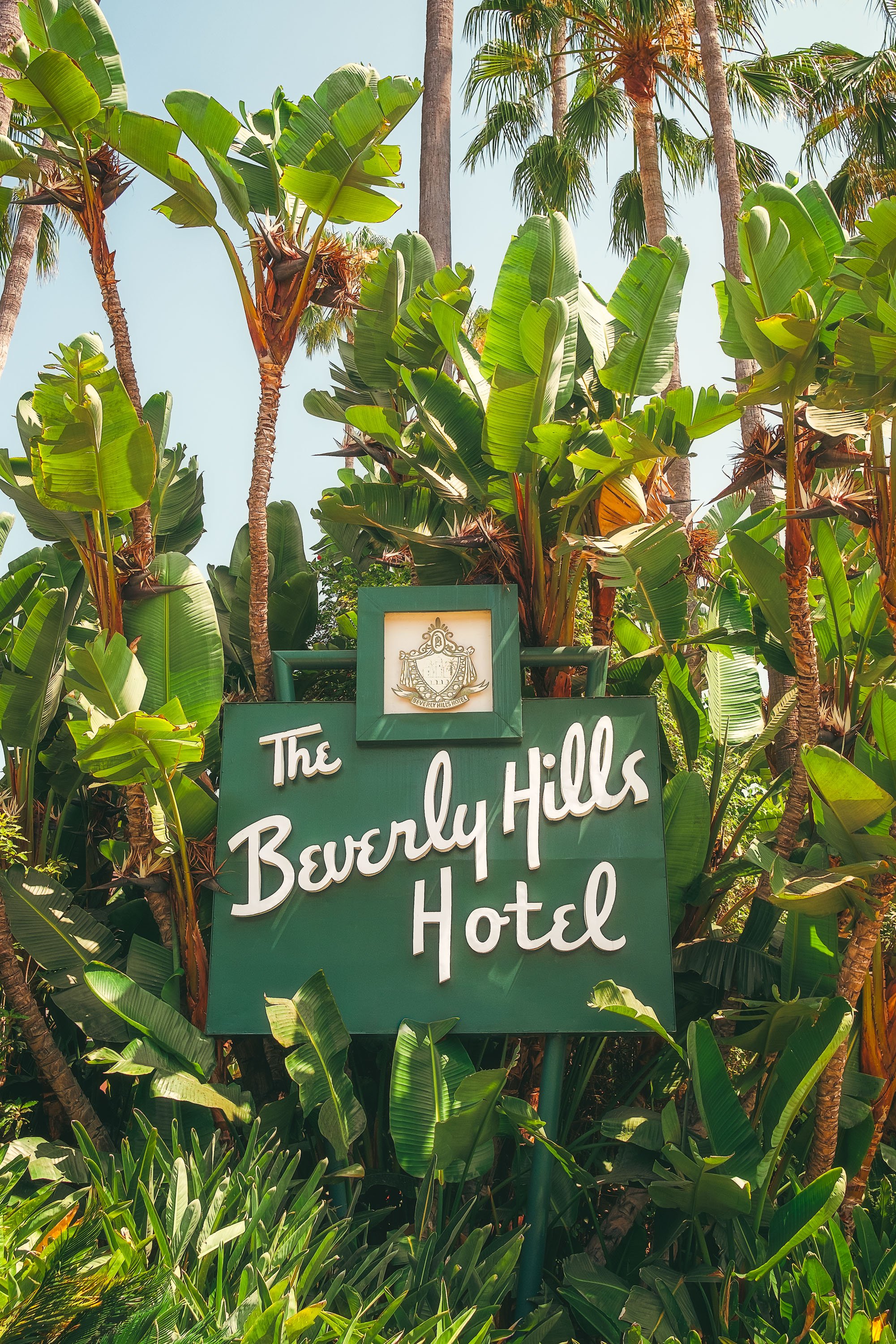 BeverlyHillsHotelv1-sharpened.jpg