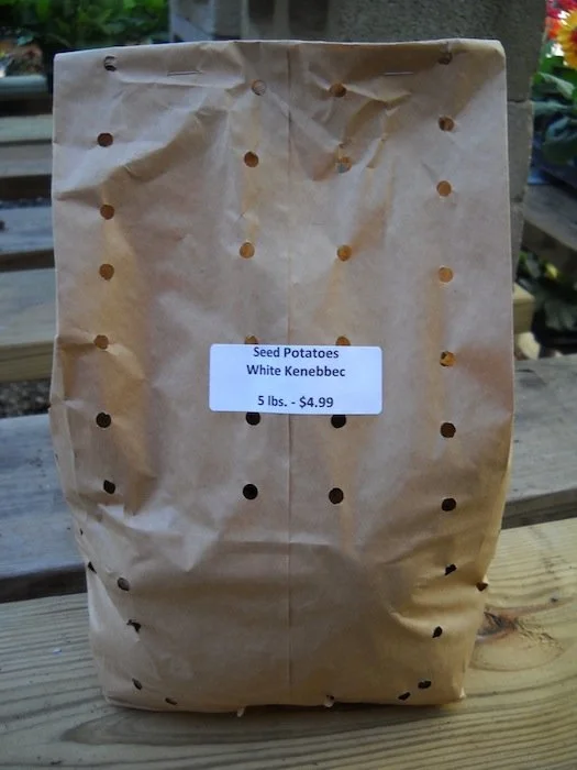 Seed Potatoes