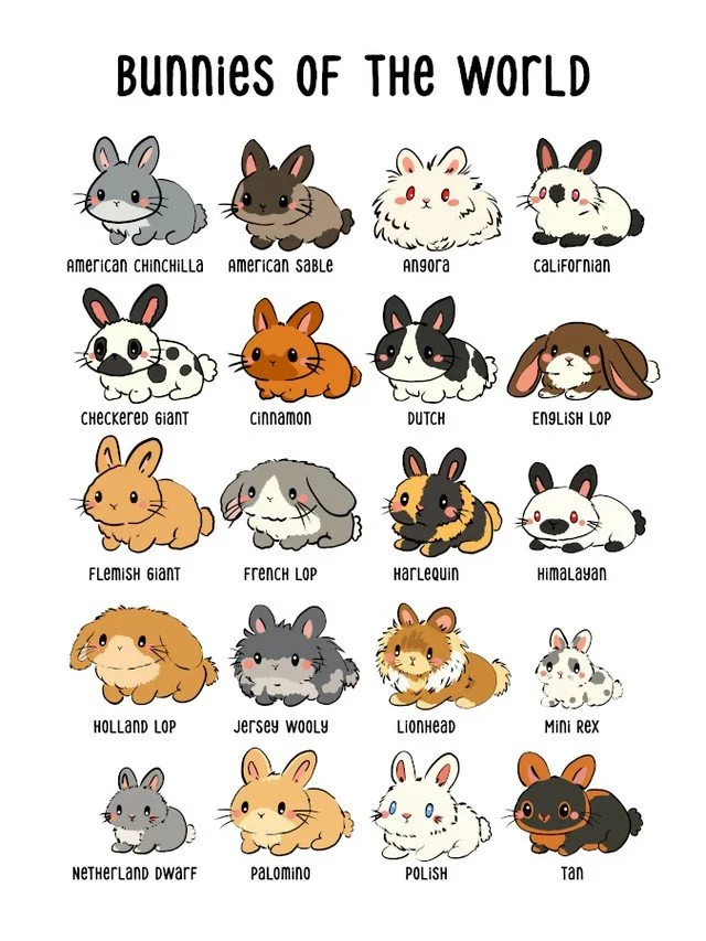 Bunnies of the World! The took me more time than I thought it would to draw, but I'm happy with it. I have it with both white and black text. All links in bio. Available at my Dashery shop, Redbubble, TEEPUBLIC, and Zazzle.
#myart #handdrawn #bunnies