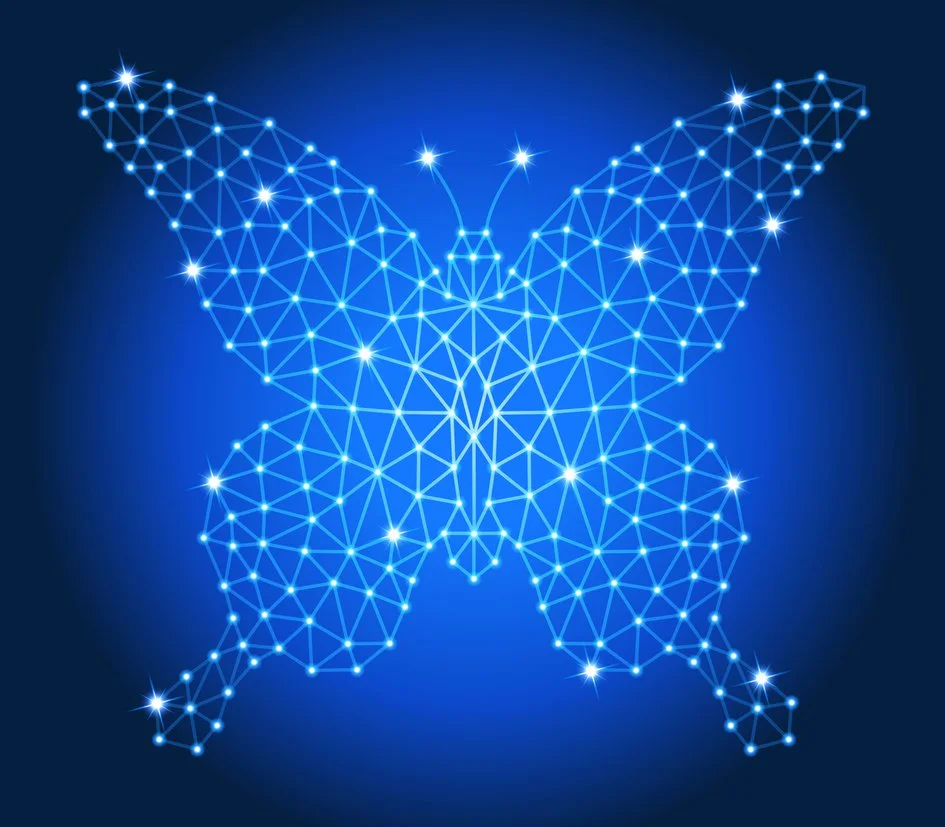 Transformation Butterfly
