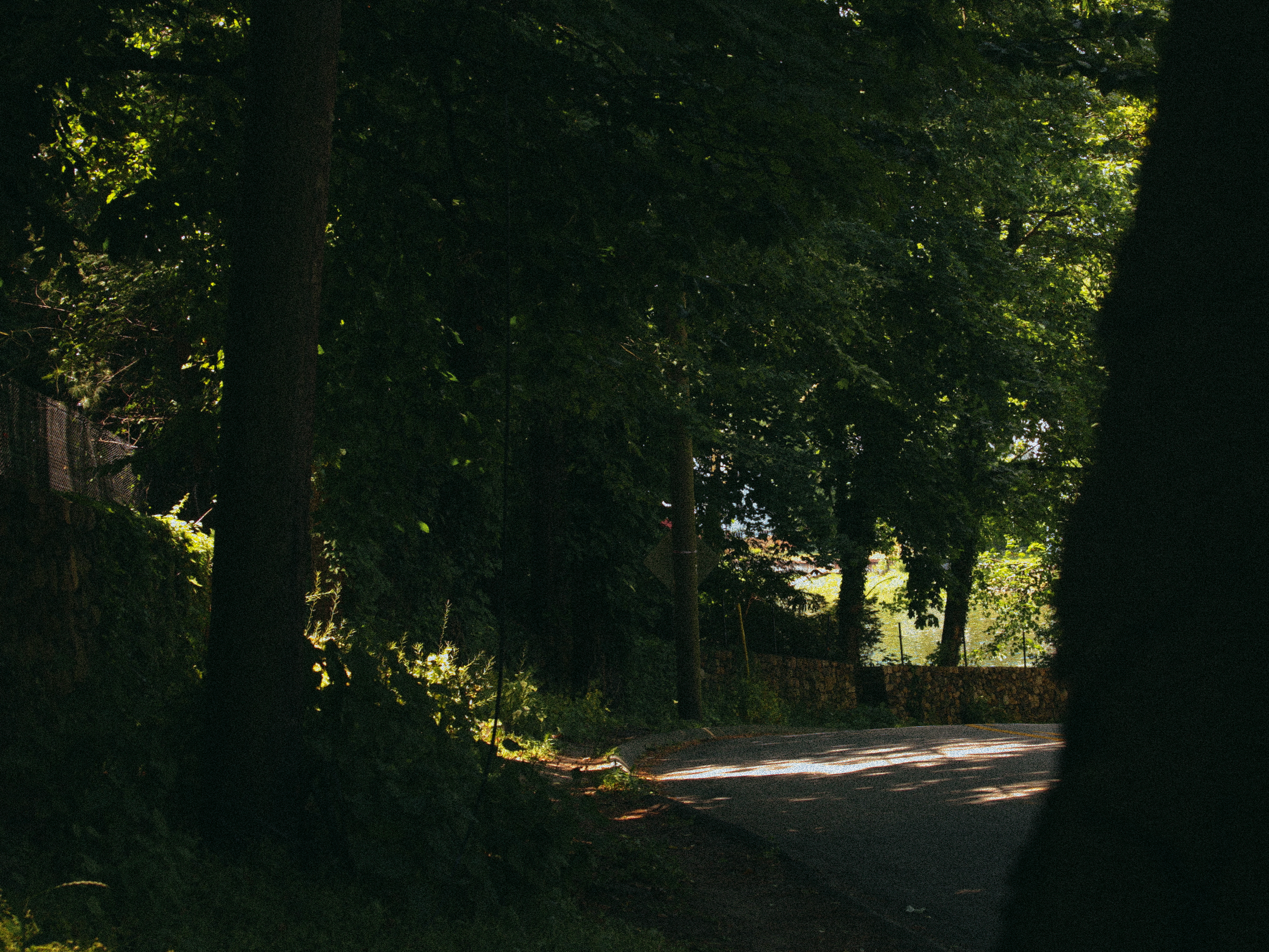bike-hill.png