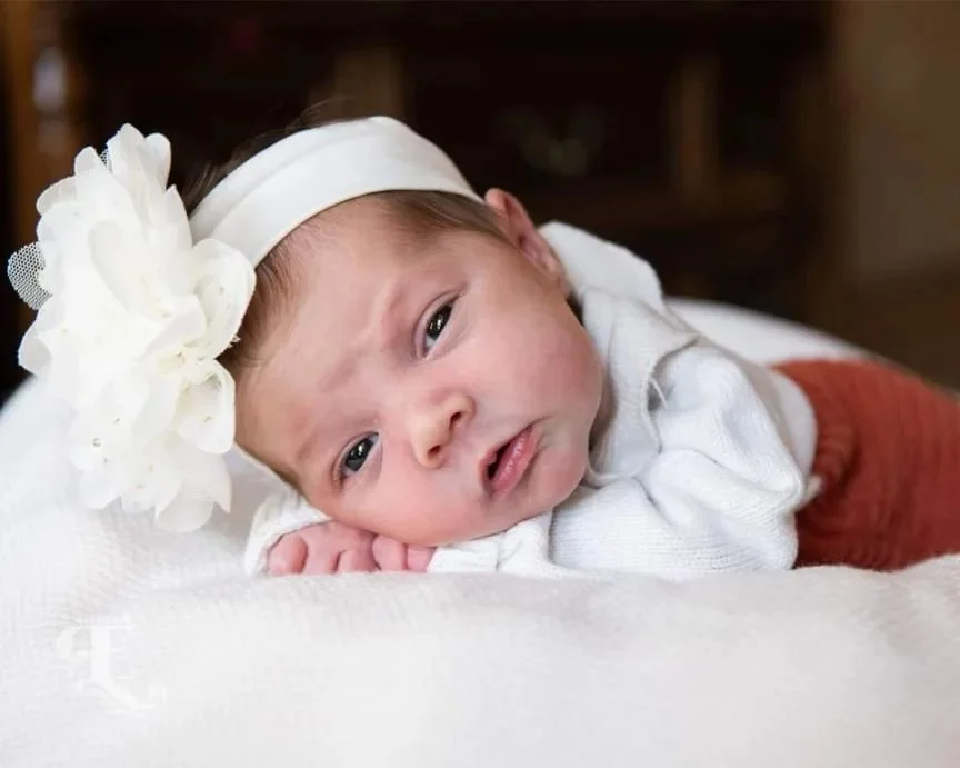 Making my way through this sweet girl's session and it's taking everything in me not to share them all before I'm finished!
#newbornphotography #greenvillenewborn #greenvillephotographer #upstatenewborn #upstatephotographer #erinkullphoto #sweetbabyg