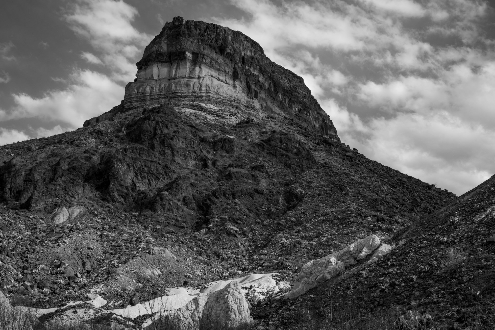 bigbend-7785.jpg