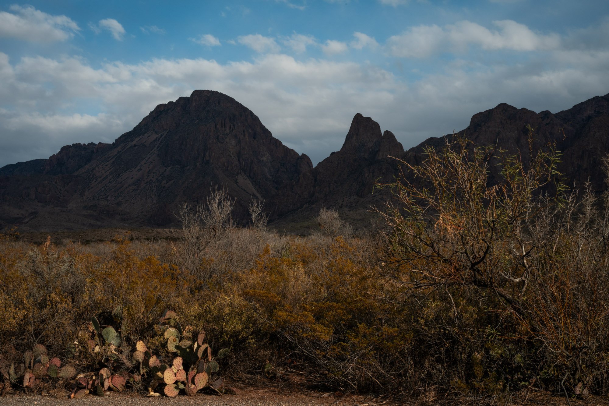 bigbend-7827.jpg