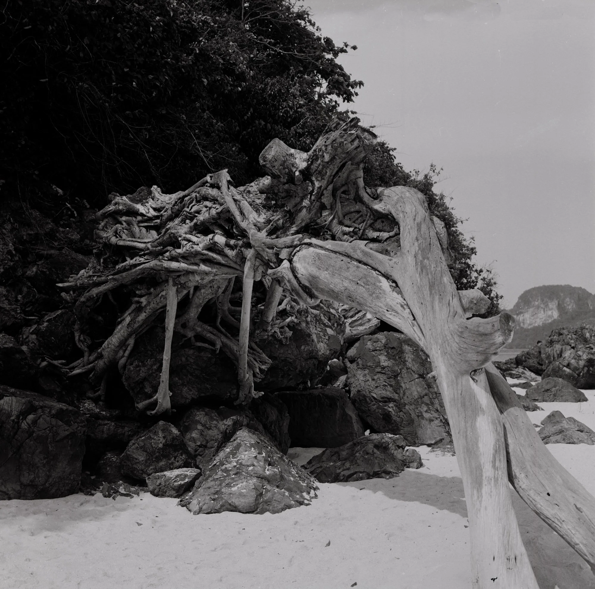 krabi-007.jpg