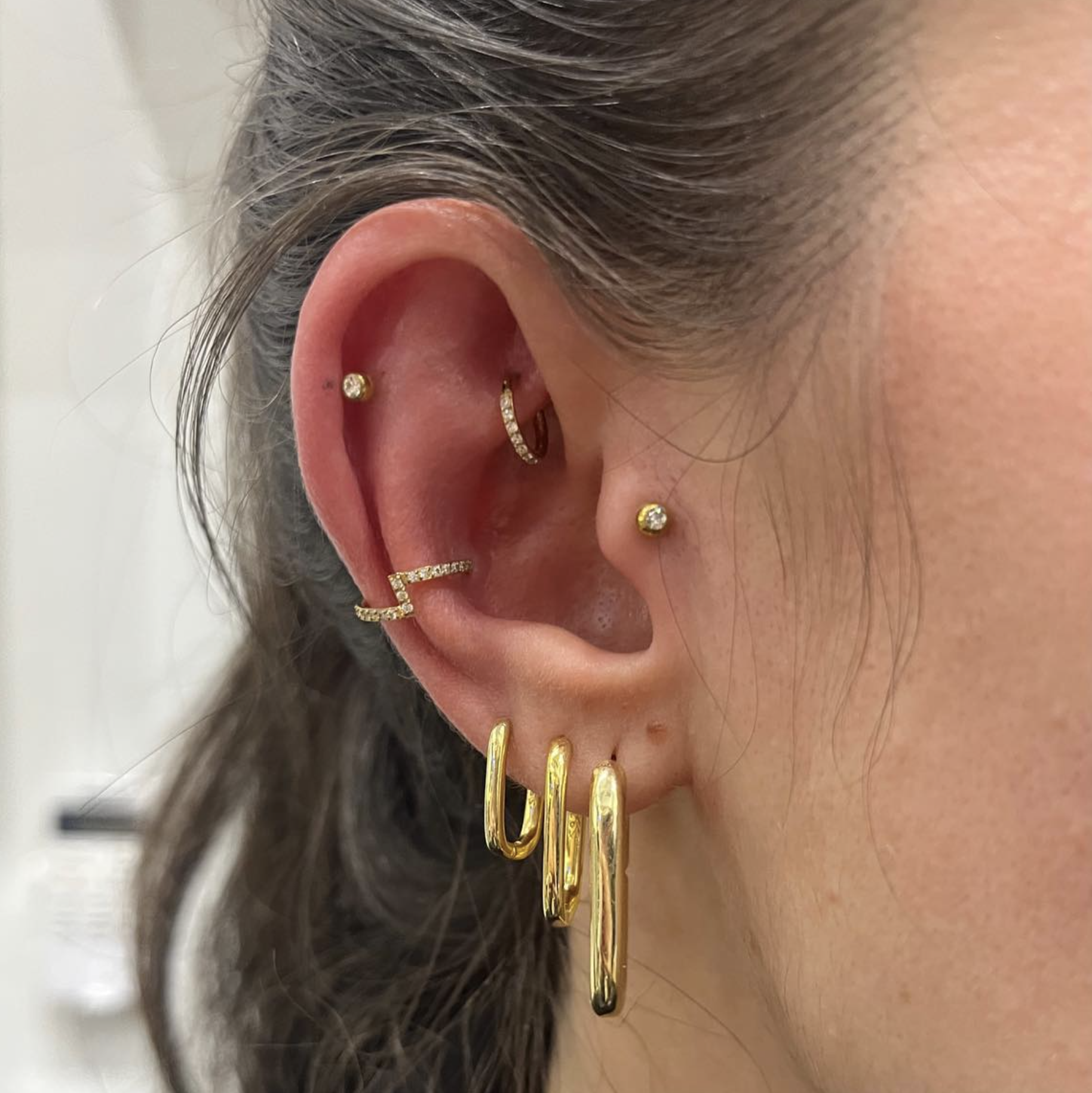 Tragus 3.png