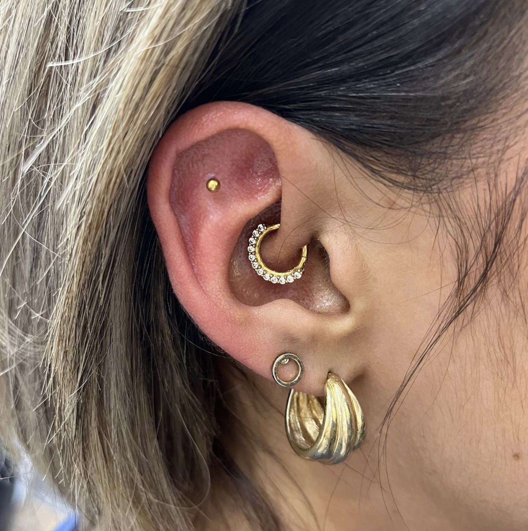 Daith:Flat 2.png